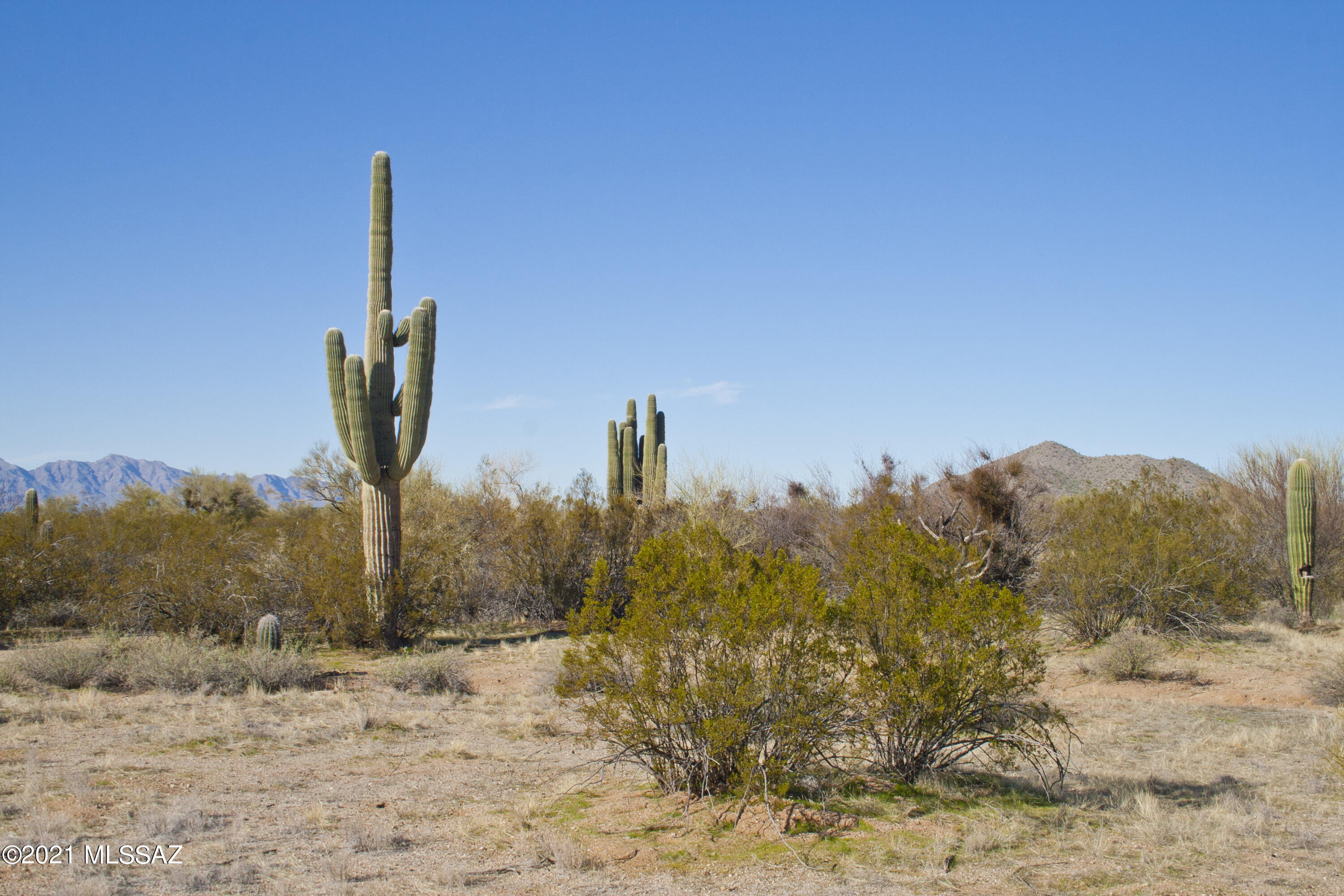 Fantastic opportunity to own land just NW of Tucson in a very popular & quiet rural area. This 2.5 acre lot offers a flat, extremely buildable site, a well share for the property on an adjacent parcel, electric, phone, & fantastic views of several mountain ranges, including Picacho Peak. Very easy access on largely smooth roads. The well share is a HUGE distinguishing feature & saves tens of thousands in cost from having to drill your own well. The property is a great find & has minimal deed restrictions. Newer manufactured homes are allowed as temporary dwellings, but site built 1,500 sq. ft. minimum ultimately required. Mature saguaros and native vegetation also enhance this property's appeal. Very few comparable properties with water are on the market, so don't miss this one!