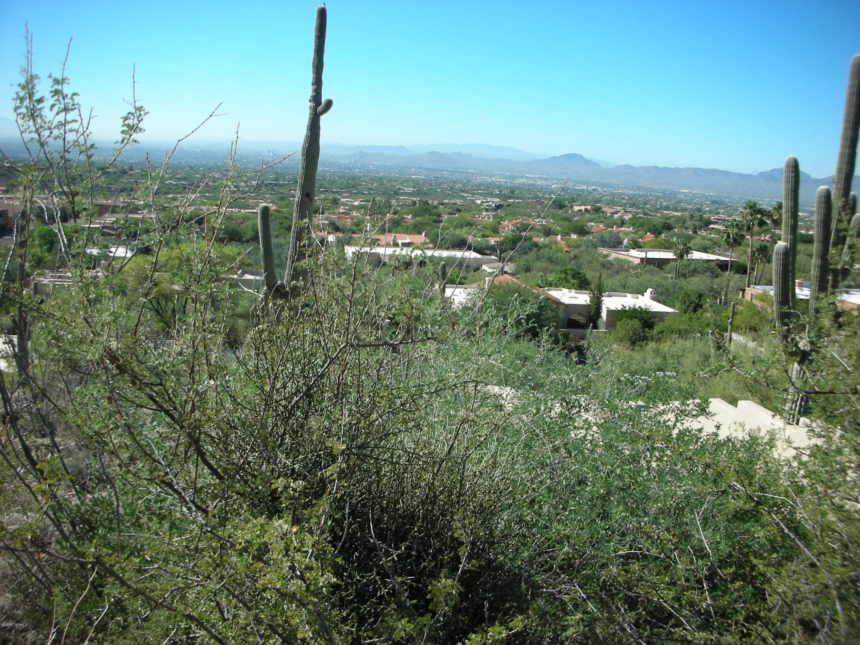 Sin Vacas (1-127 & 129-235) - Land