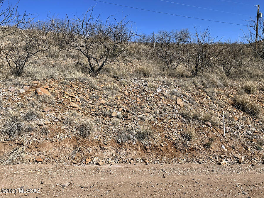 Rio Rico Ranchettes 3 - Land