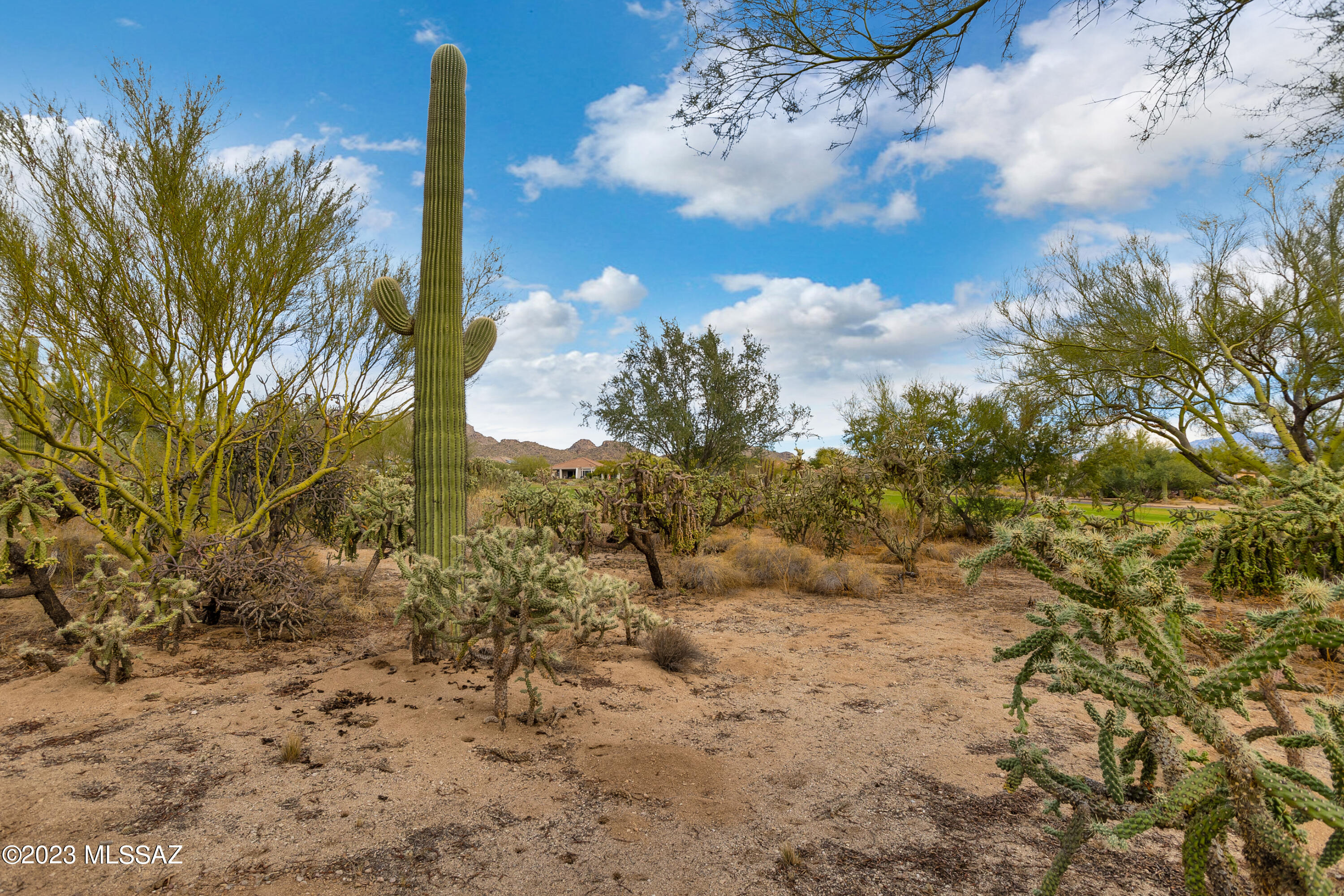 Heritage Highlands VI at Dove Mountain (977-1146) - Residential