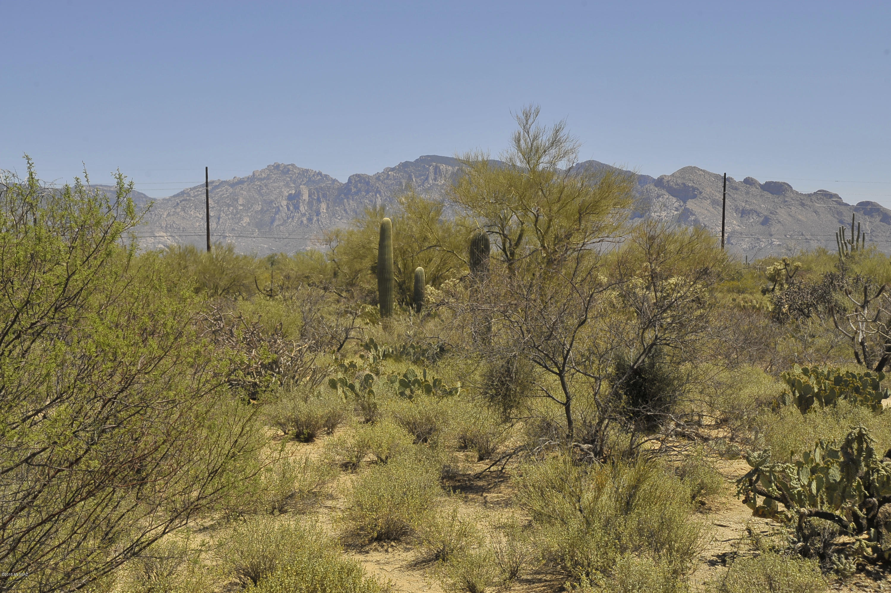 Skyranch Blks A-B (1-365) - Residential Lease