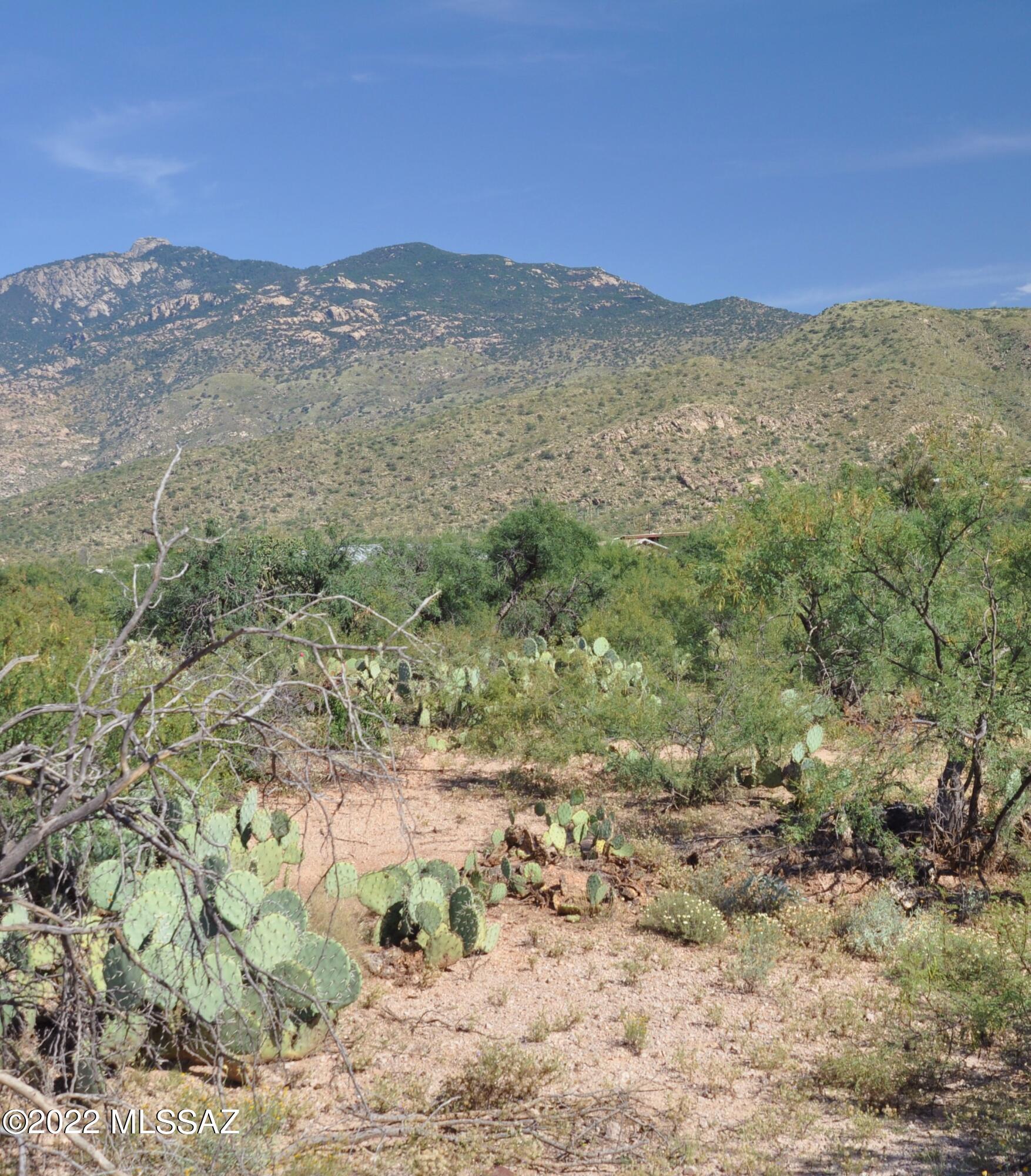 Rolling Acreage with Close Up views of the Rincons. Access road & electric poles are along the property's west boundary. And there's a driveway along the south boundary. This lot is very easy to visualize when you visit. The lot rises from the road to the build site which sits atop a little knoll with near panoramic views into Saguaro Ntl Park East. Park boundary is about 400ft due east of the property! Gorgeous custom homes in the area. CC&Rs written in 1965 prohibit manuf homes & state minimum house size to be 1400sf. Property was surveyed in 2019. Nearby water wells indicate reasonable depths of 275-300ft. Info and maps attached in MLS documents.