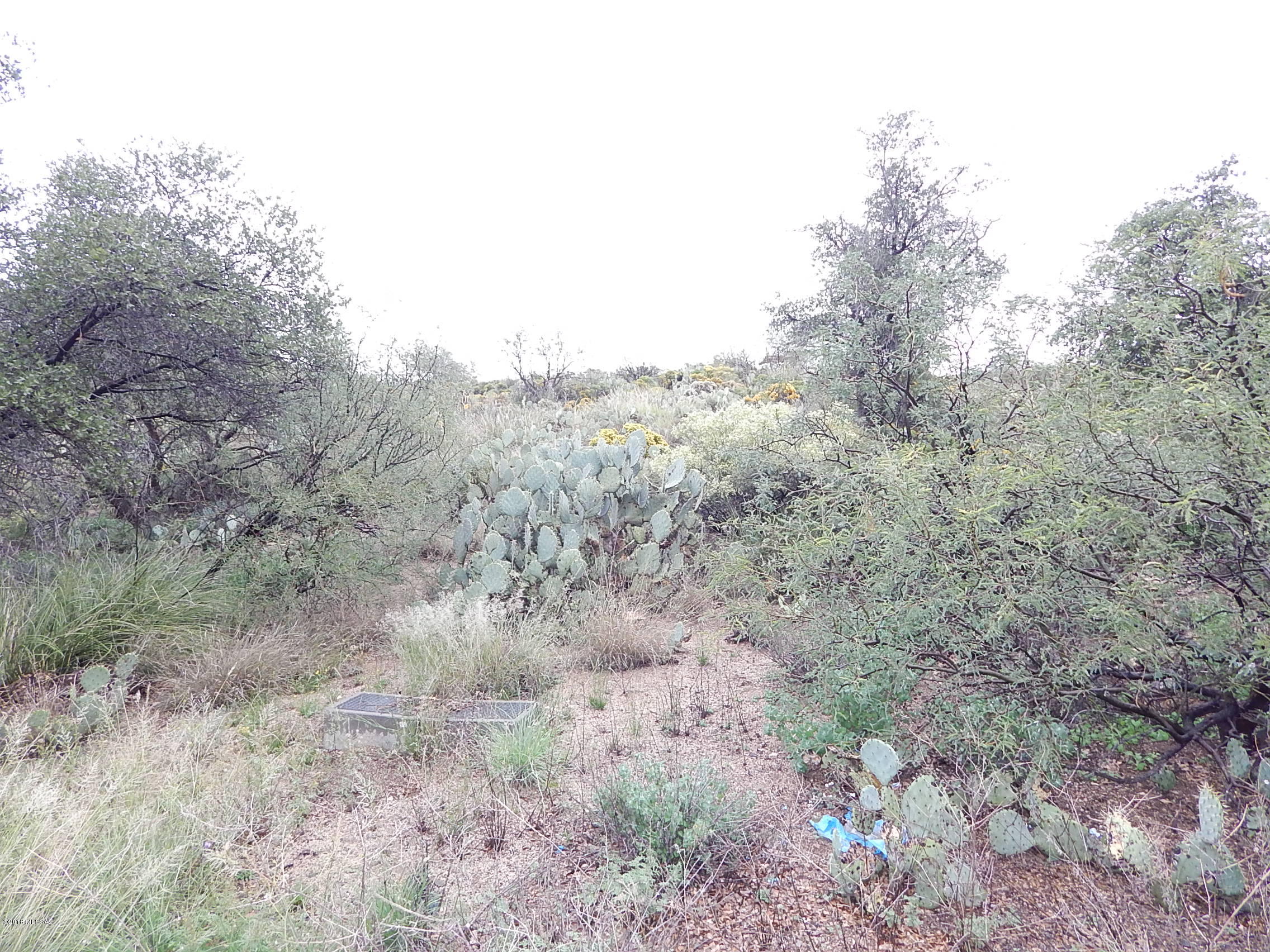 Oracle Mountain View Estates - Land