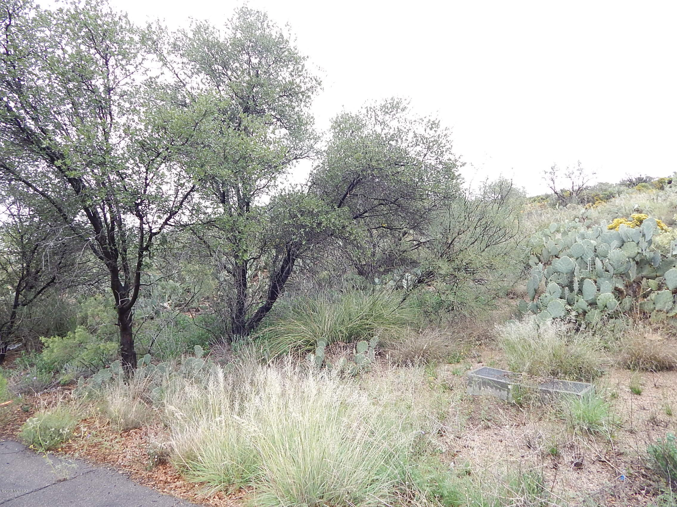 Build that dream house you've always wanted.  Nice size lot on paved Mountain View Dr.   Just minutes away from Oracle State Park, where you can enjoy camping, explore the trails and get a chance to view some of Arizona's wildlife in their natural habitat.  Buyer to verify all aspects of this listing including the availability of utilities.