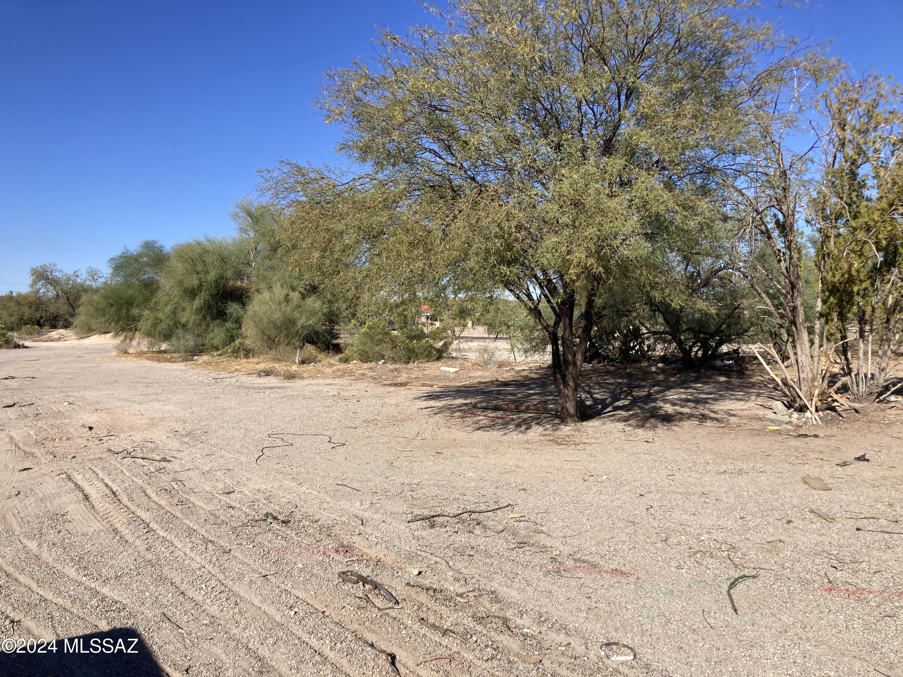 Rillito Gardens (1-11) - Land