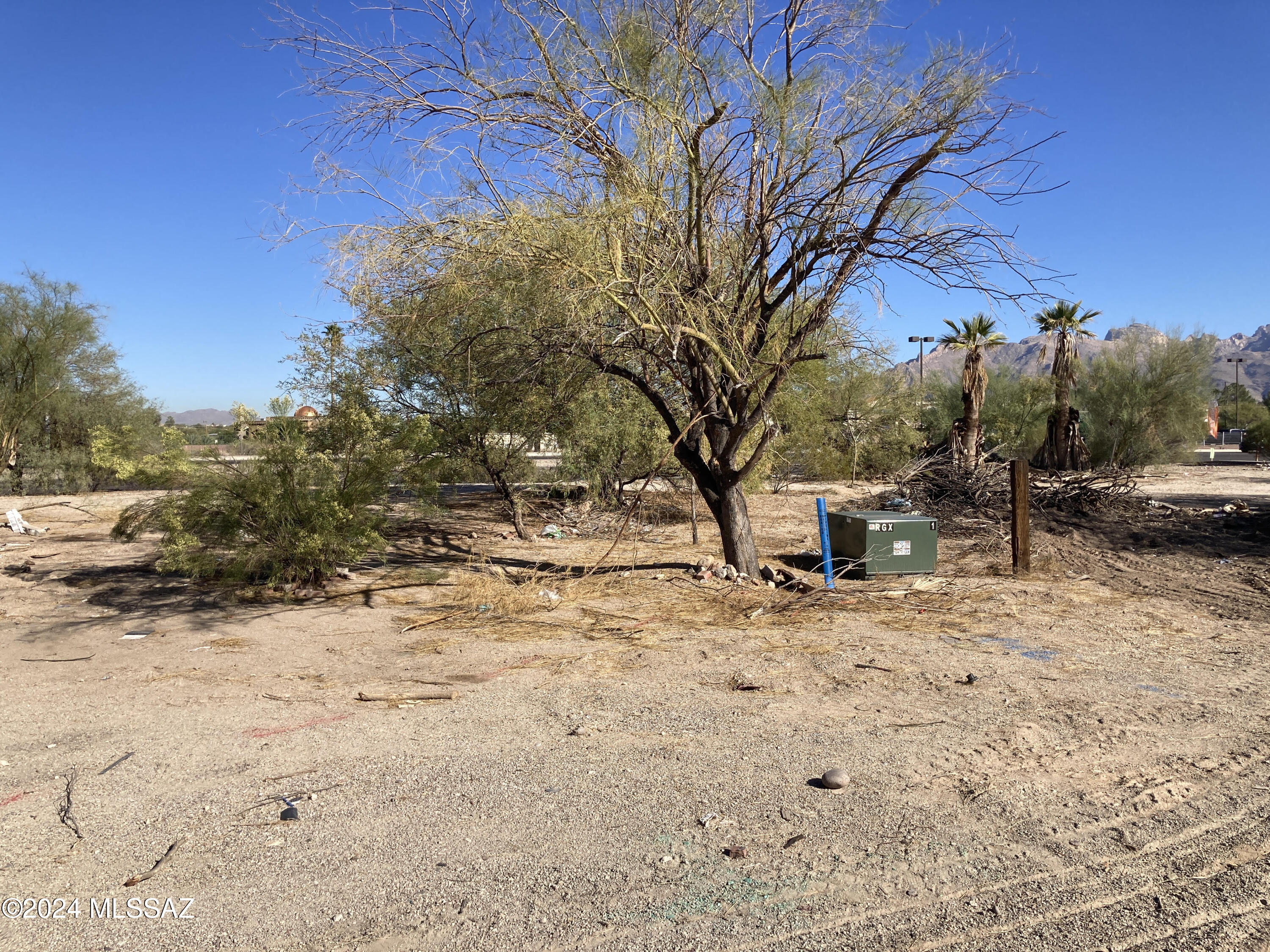 Rillito Gardens (1-11) - Land