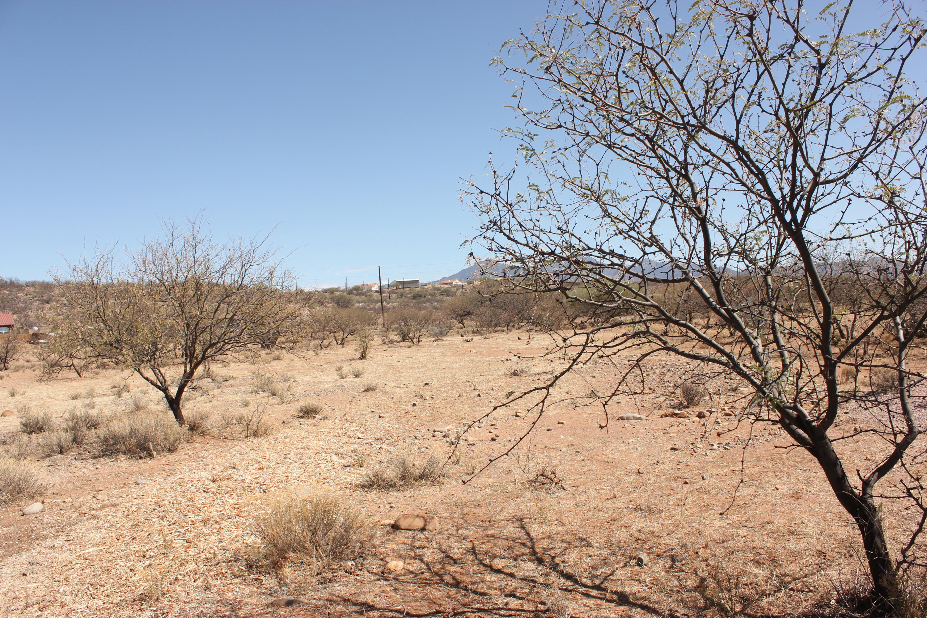Rio Rico Villas 12 - Land