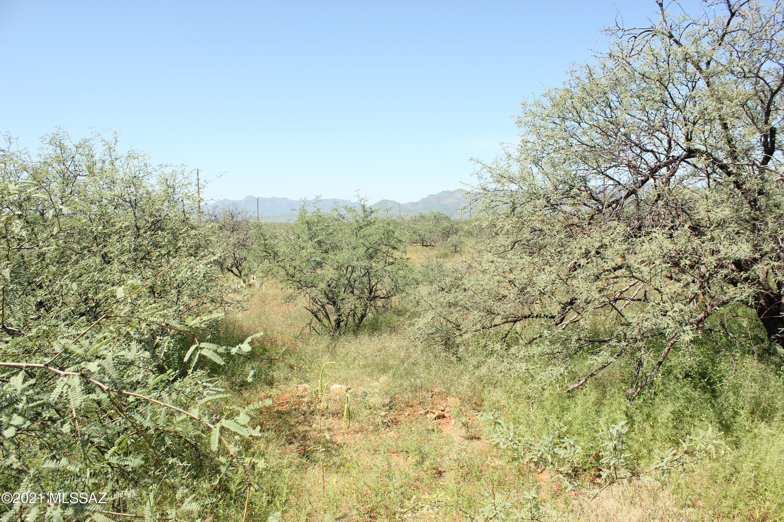 Rio Rico Villas 10 - Land
