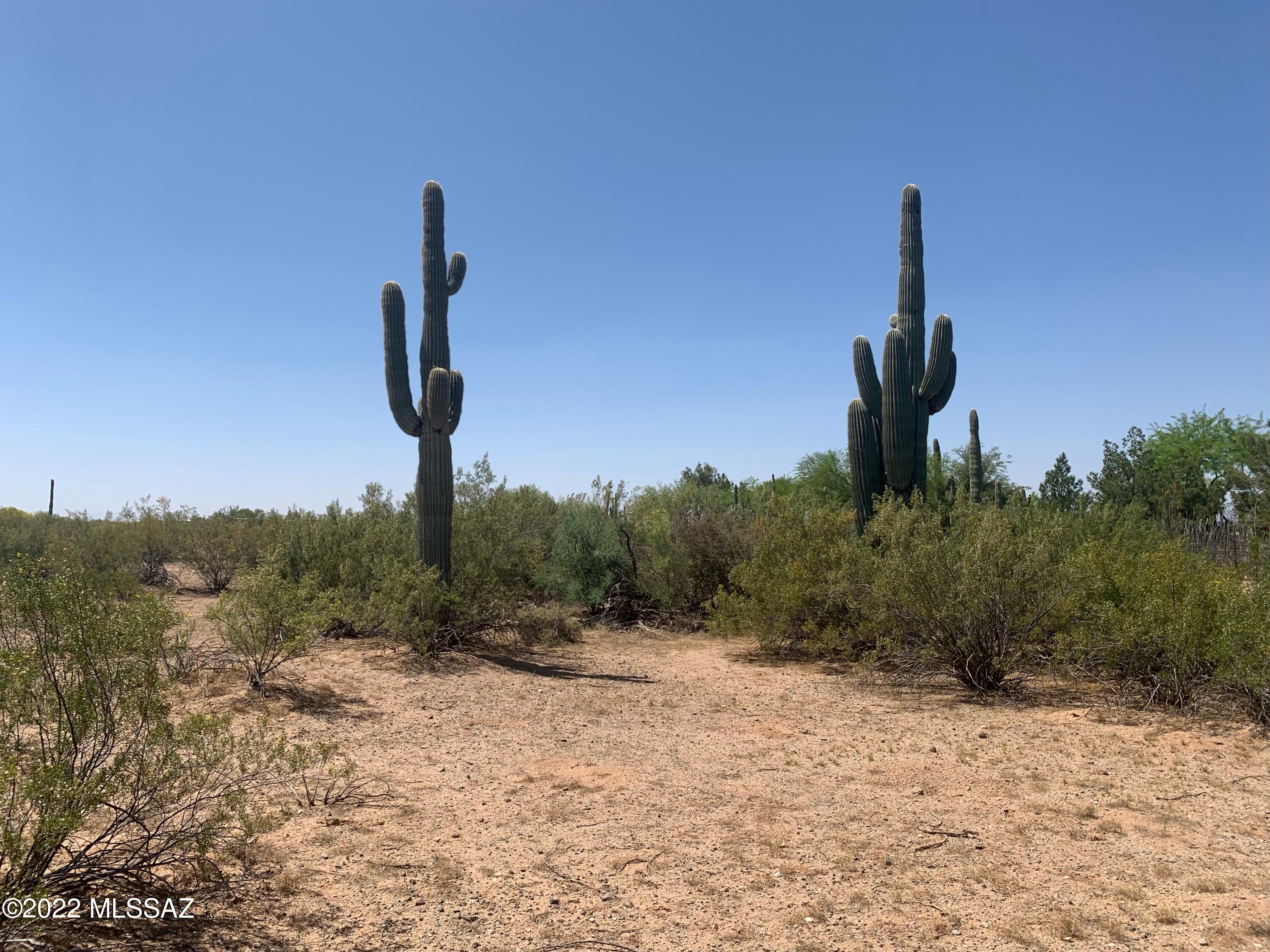 Live large on a beautiful 4 acre buildable parcel in Marana AZ with well share in place! Beautiful views and vegetation on this parcel that will allow you to add your own personal touch. Zoning allows for custom home, modular or manufactured home, so feel free to bring your horses and toys and create  your own peaceful retreat!