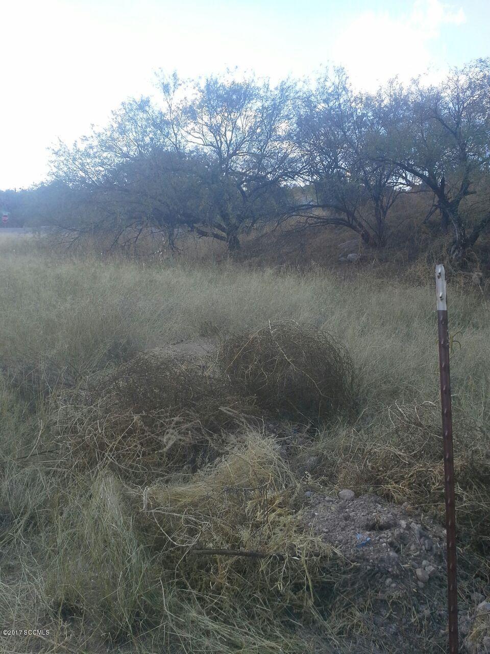 Rancho Grande - Land