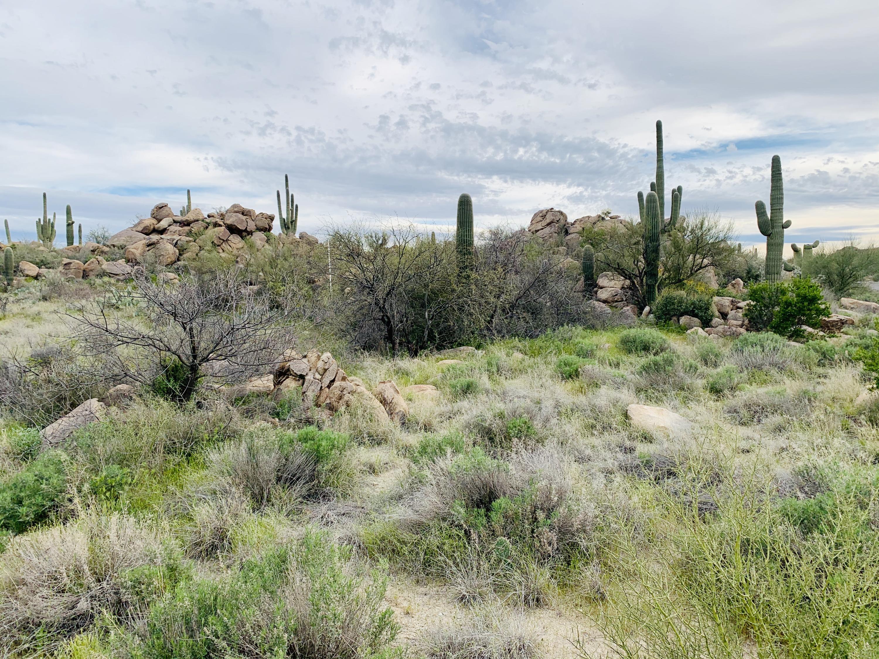 Stone Canyon IV - Land