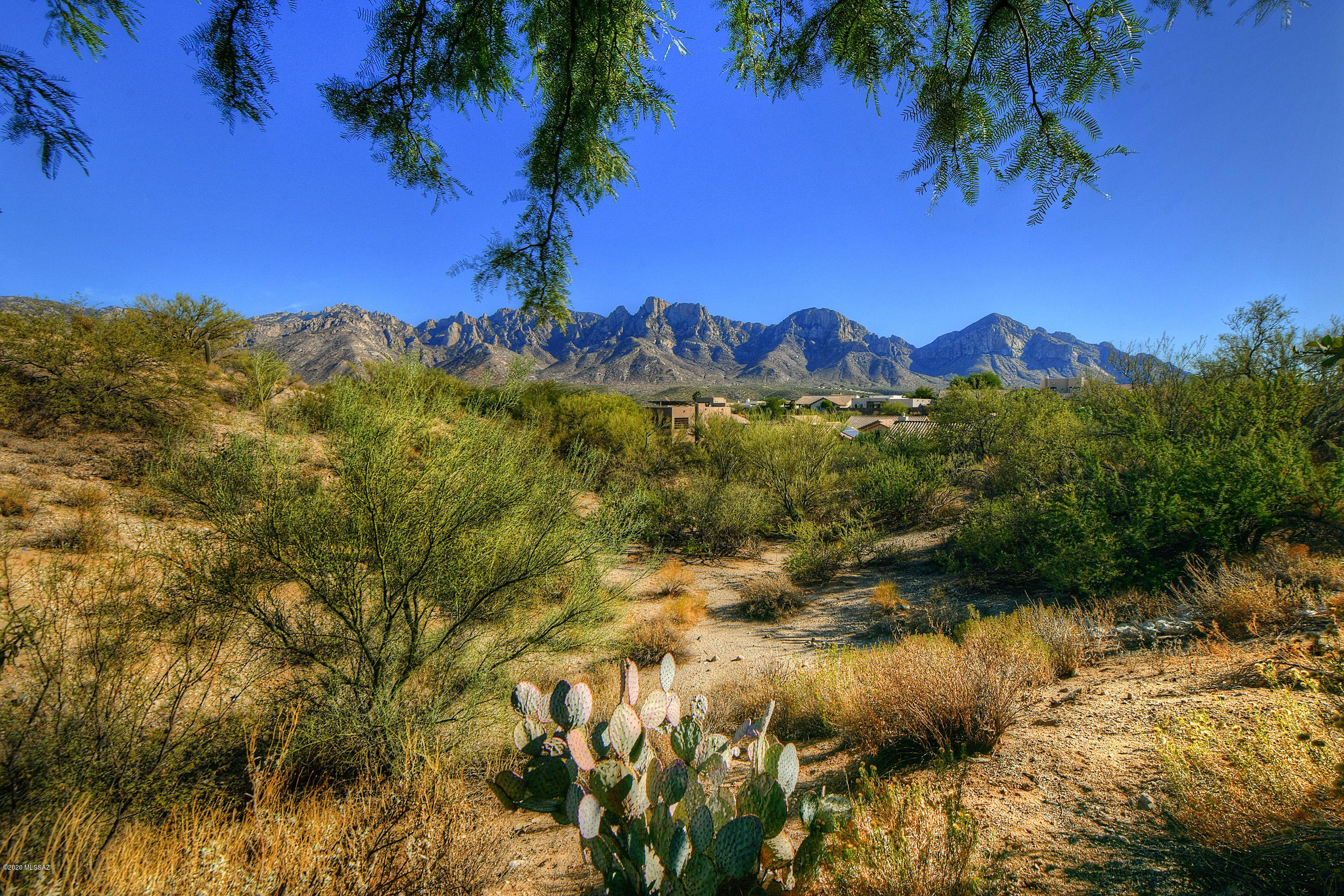 Catalina Shadows Estates Phase 4(302-390) - Residential