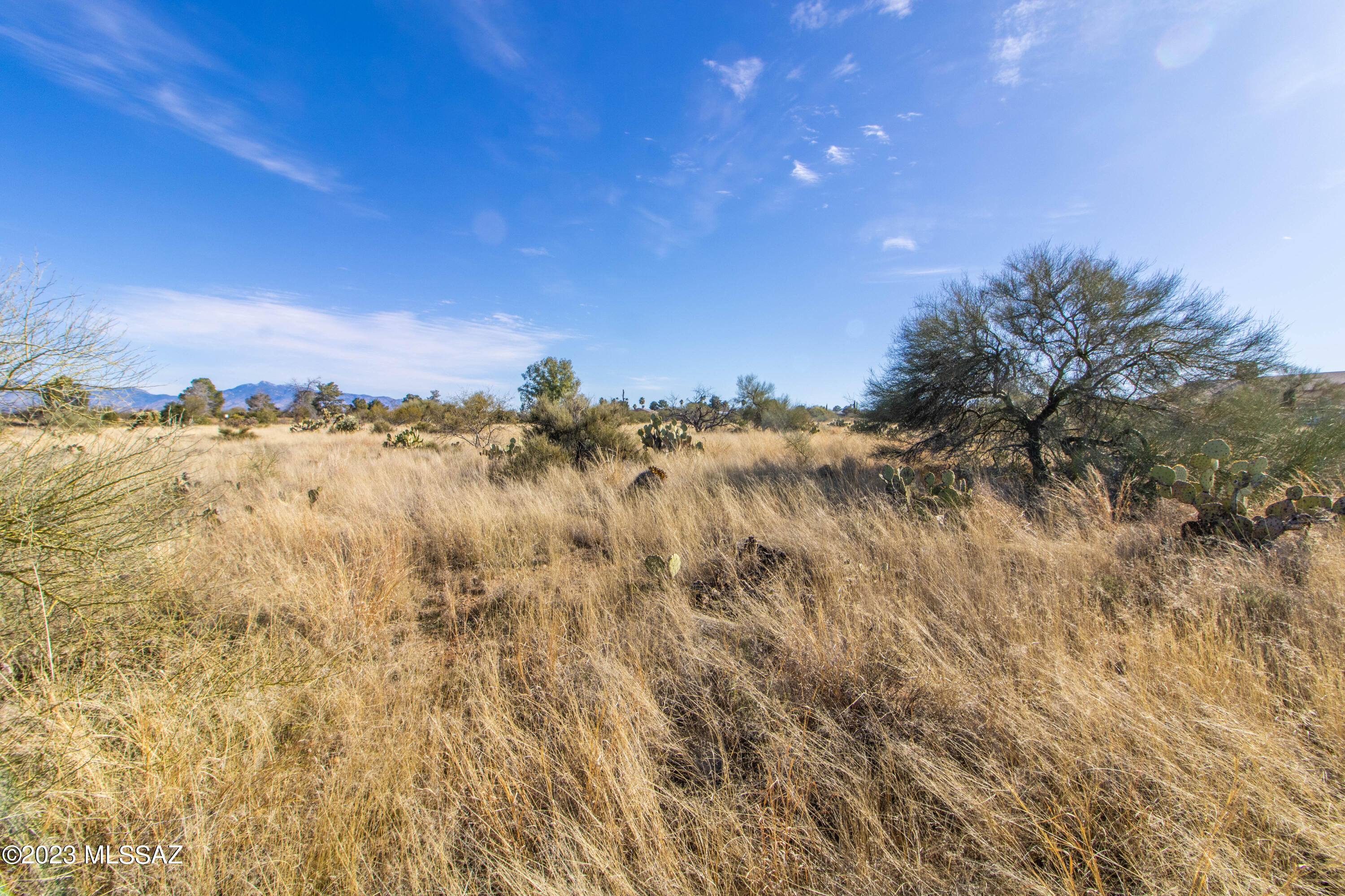 New Tucson Unit NO. 4 (1-203) - Land