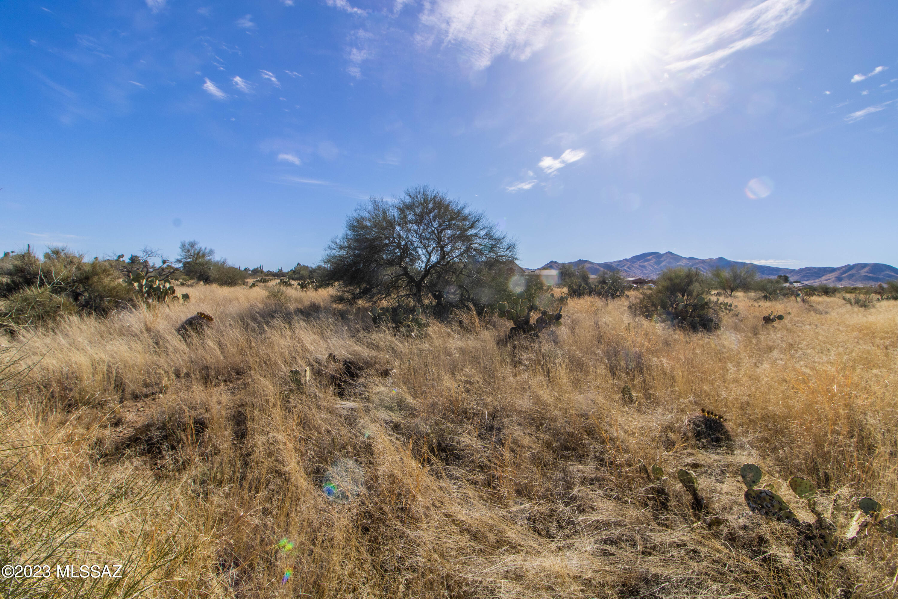 New Tucson Unit NO. 4 (1-203) - Land