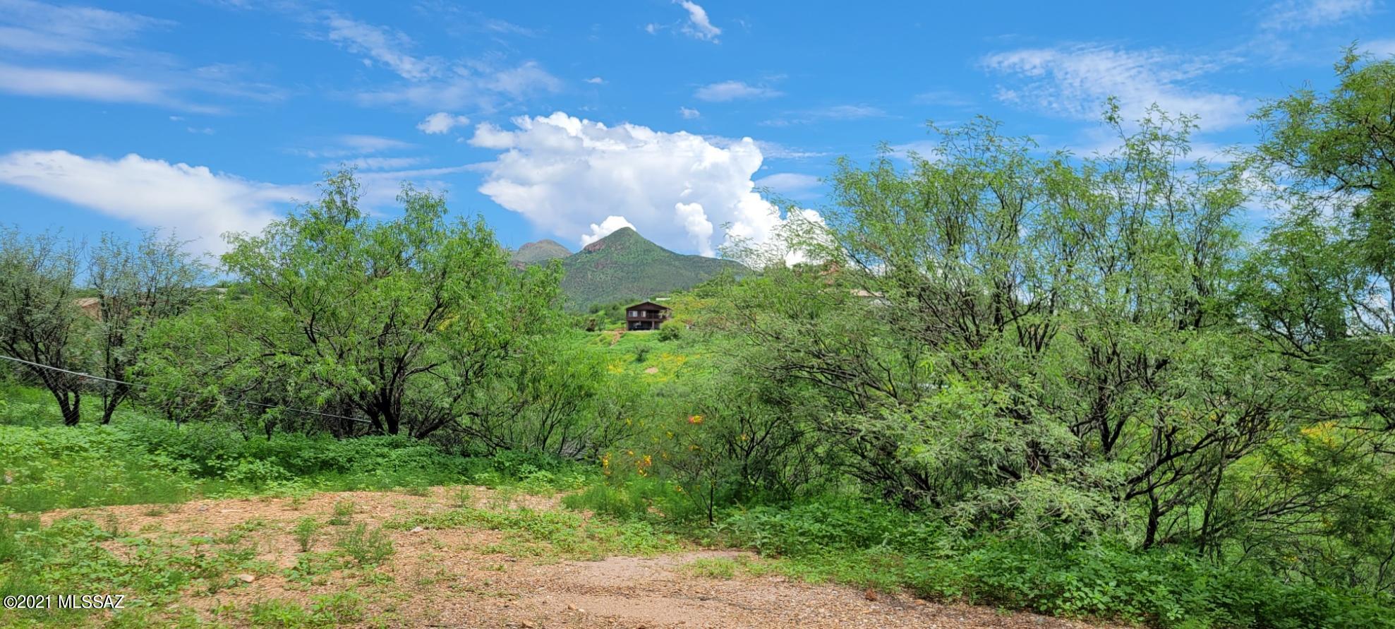 Rio Rico Unit 3 - Residential