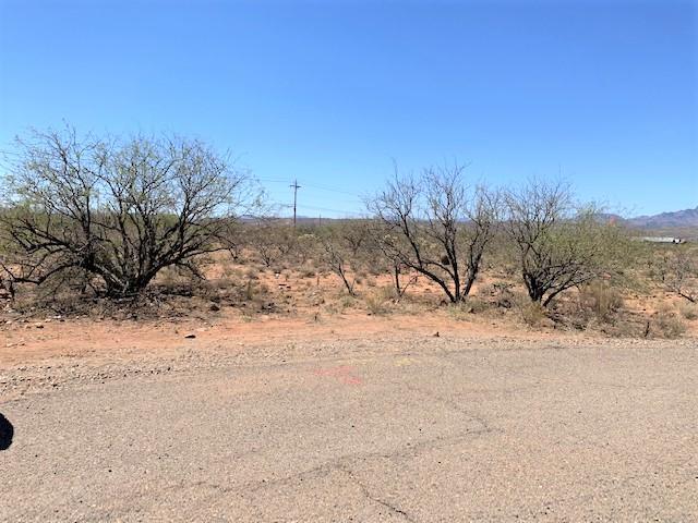 Rio Rico Estates 16 - Land