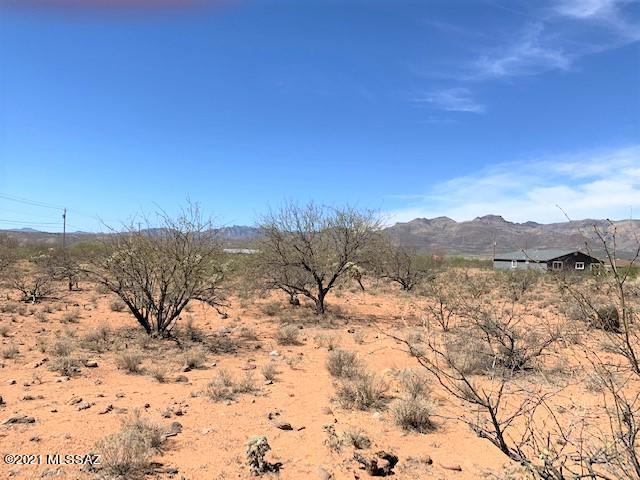 Rio Rico Estates 16 - Land