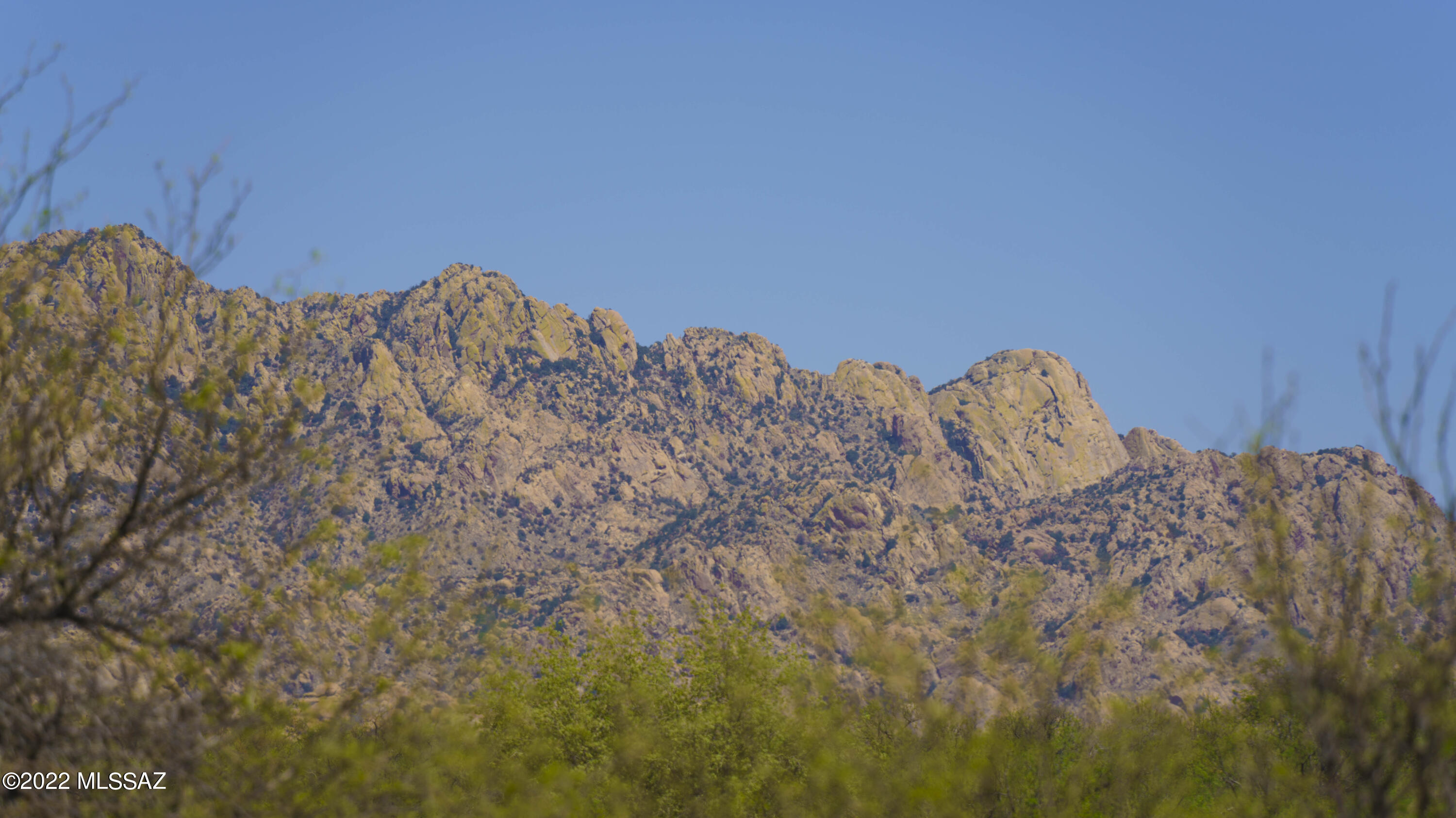 Dragoon Mountain Ranch - Residential