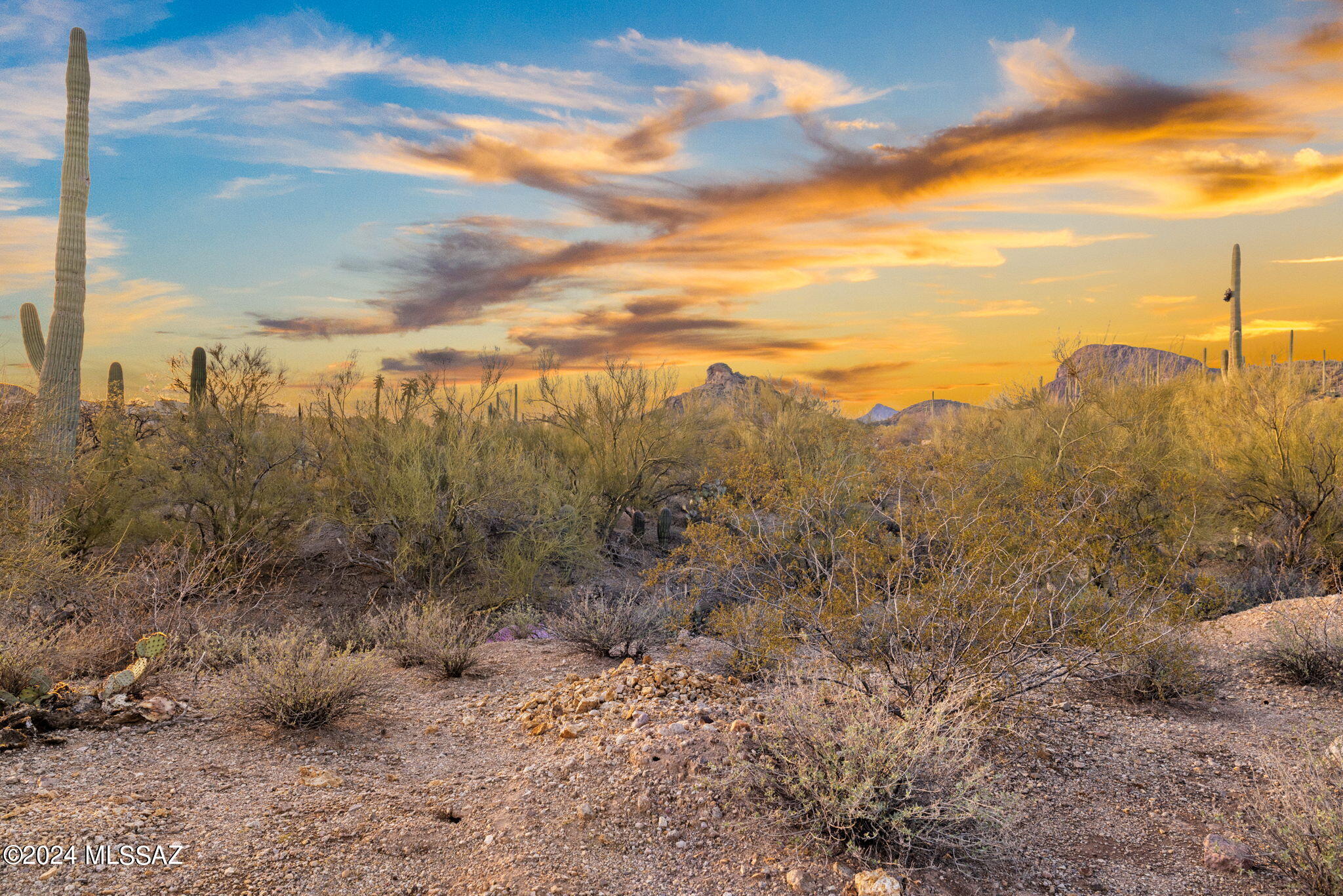Mesquite Hills (1-21) - Land