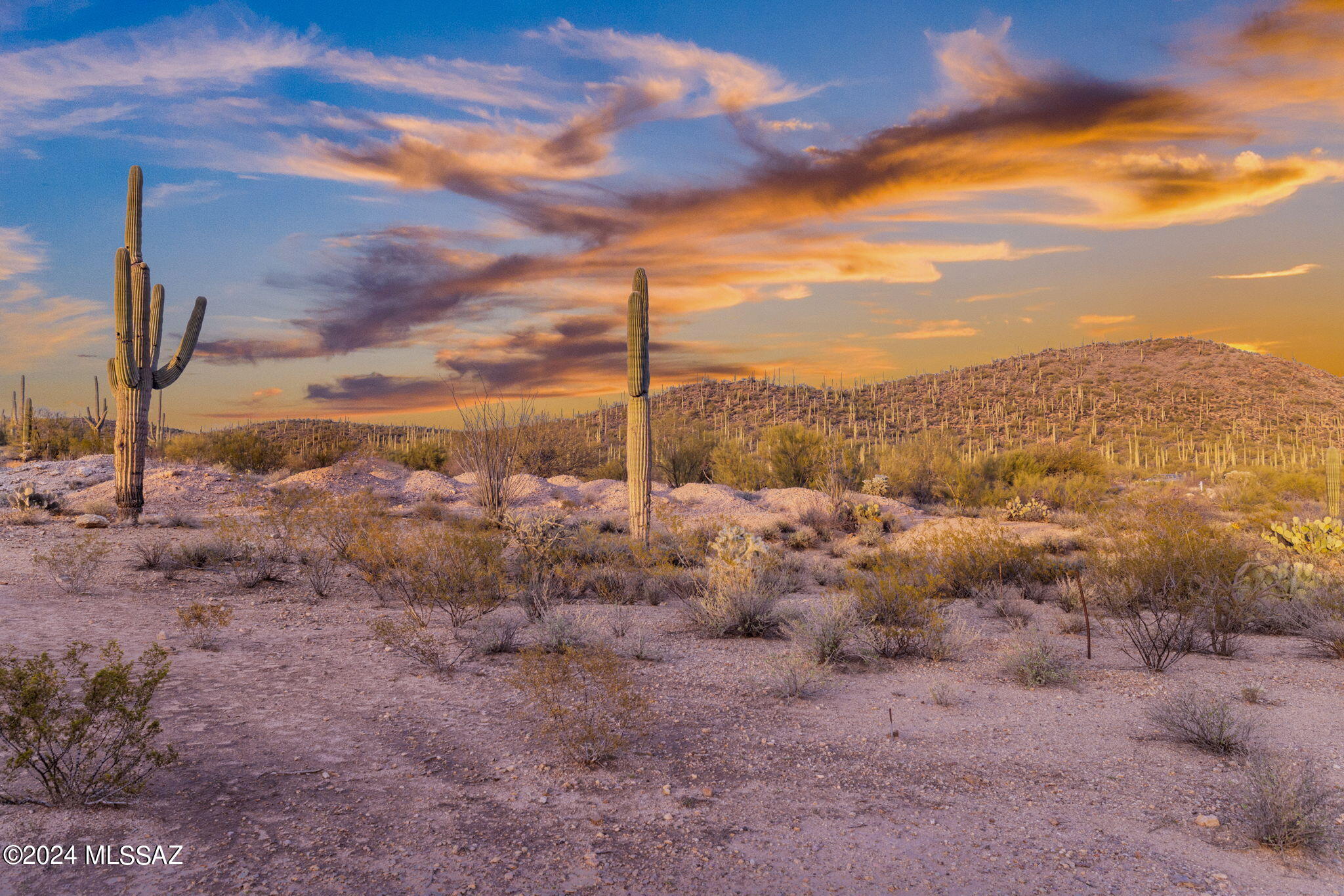 Mesquite Hills (1-21) - Land