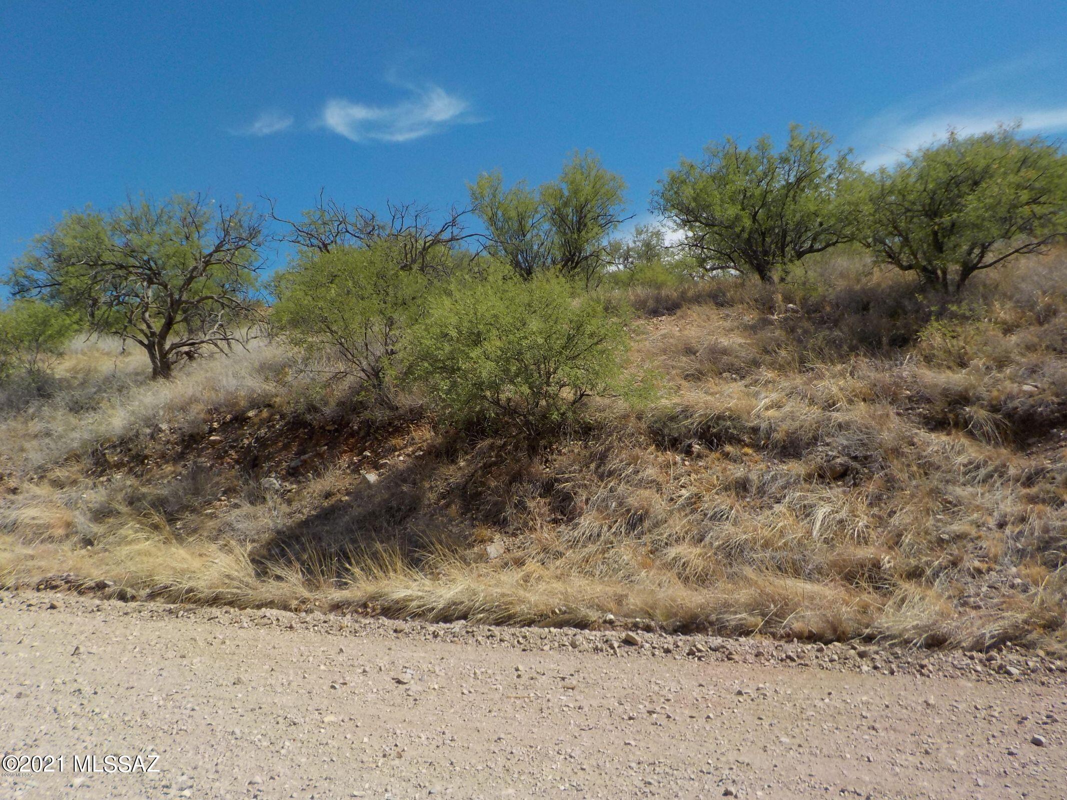 Rio Rico Ranchettes - Land