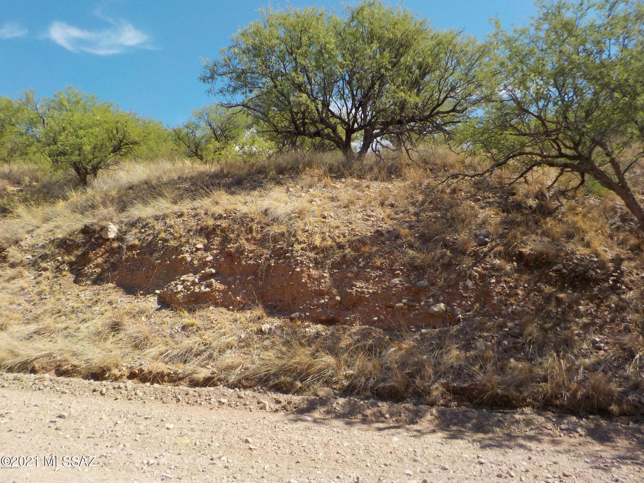 Rio Rico Ranchettes - Land