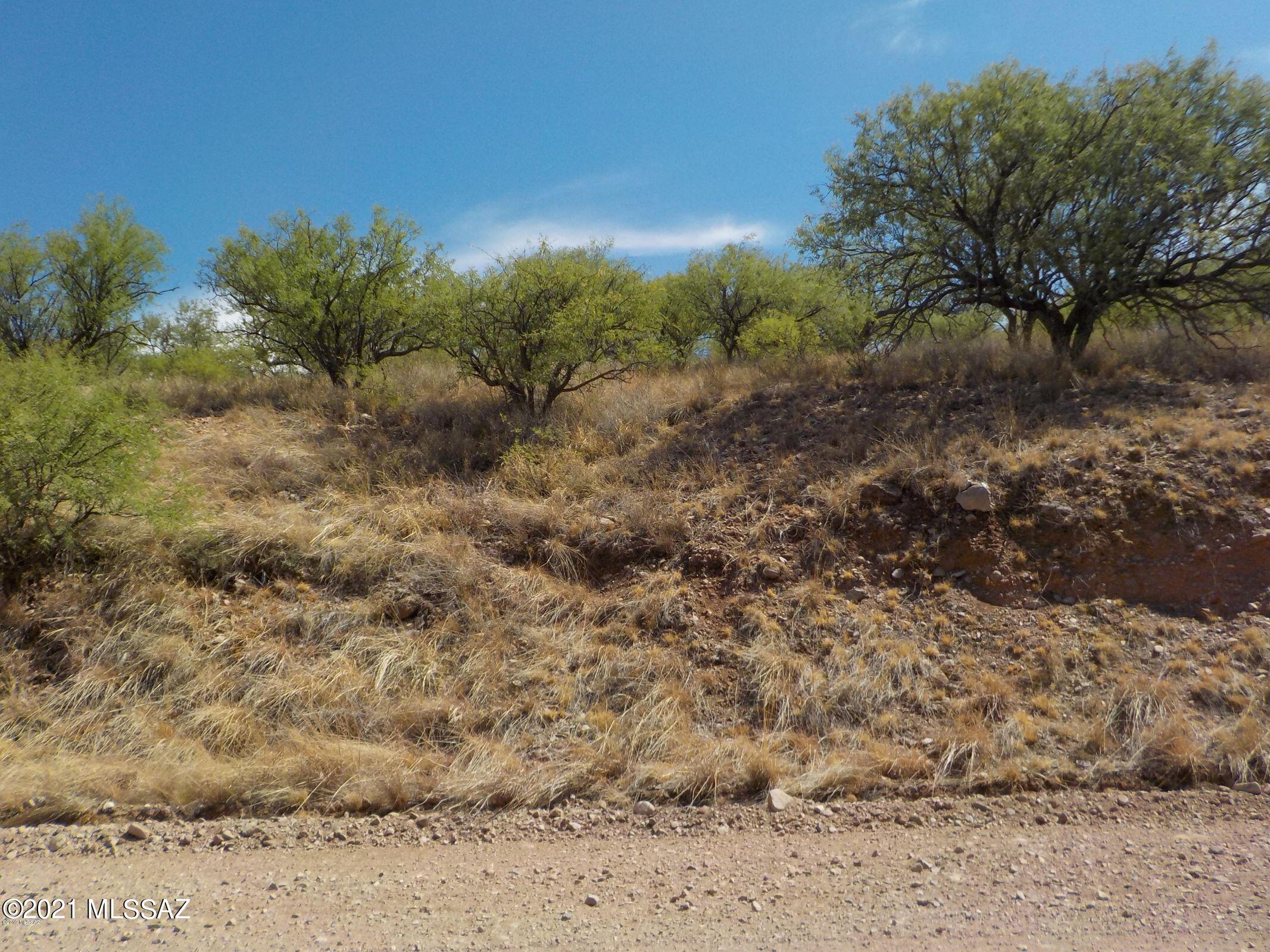 Rio Rico Ranchettes - Land