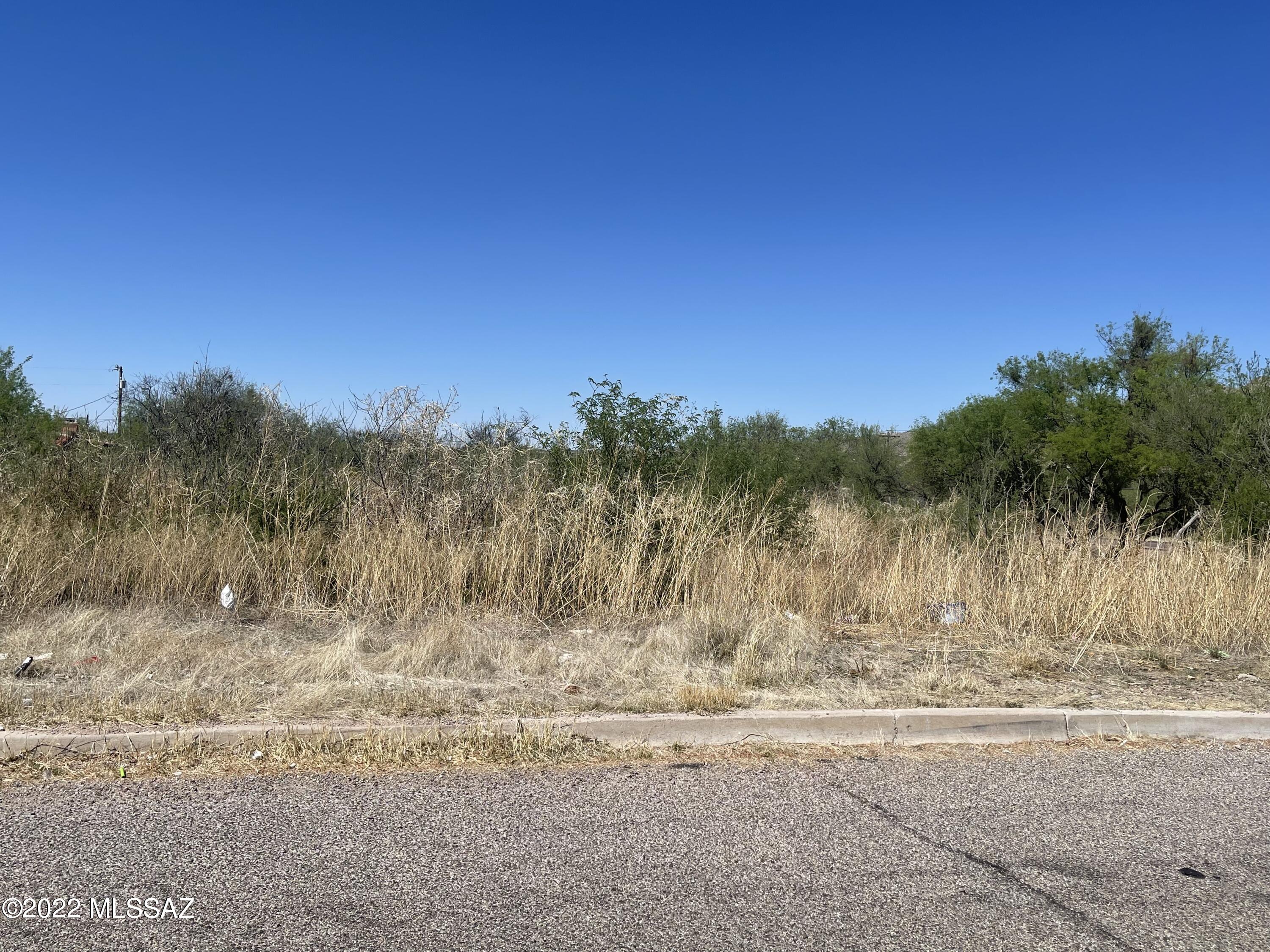 Rio Rico Villas - Land