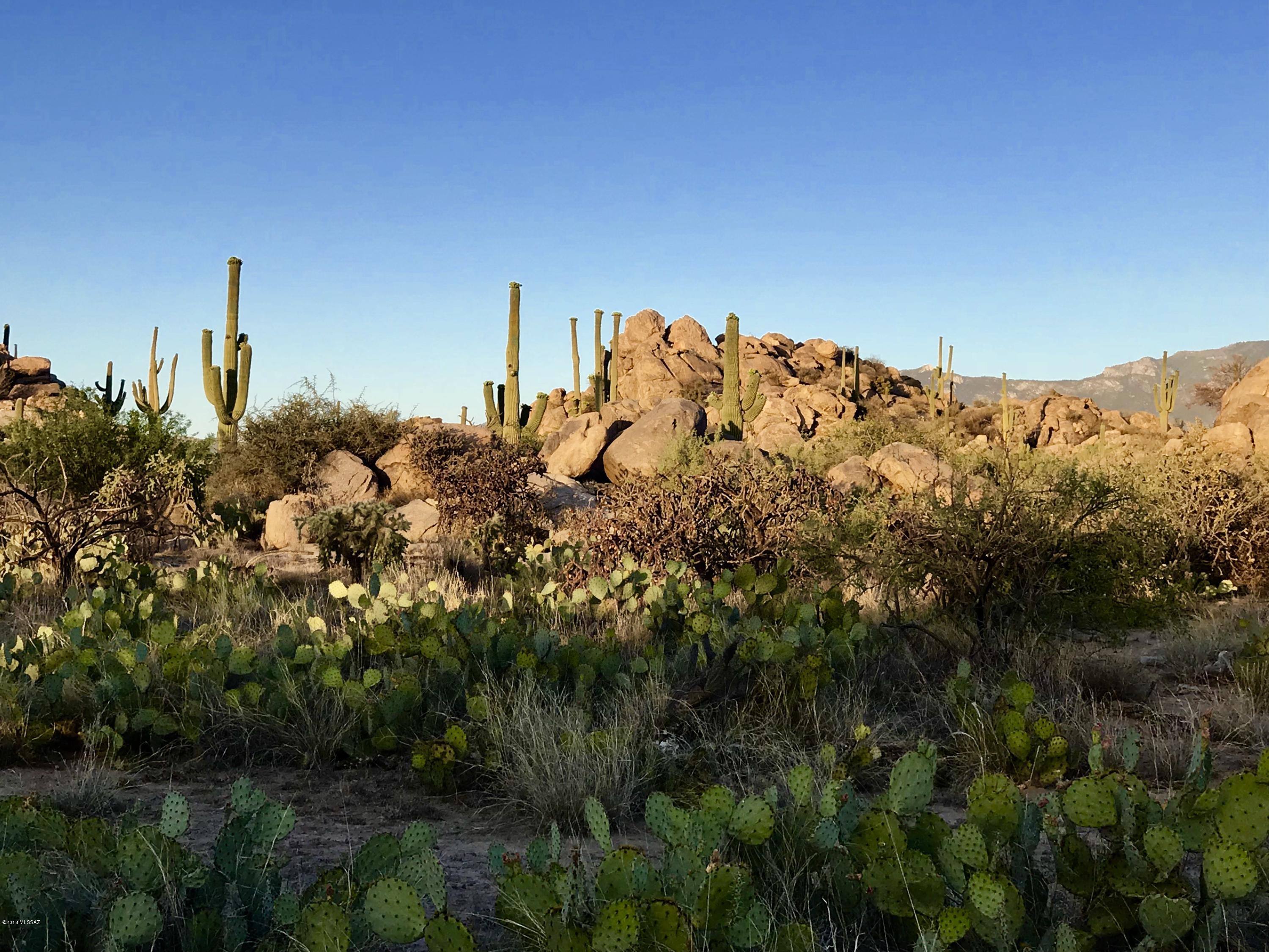 Stone Canyon IV - Land