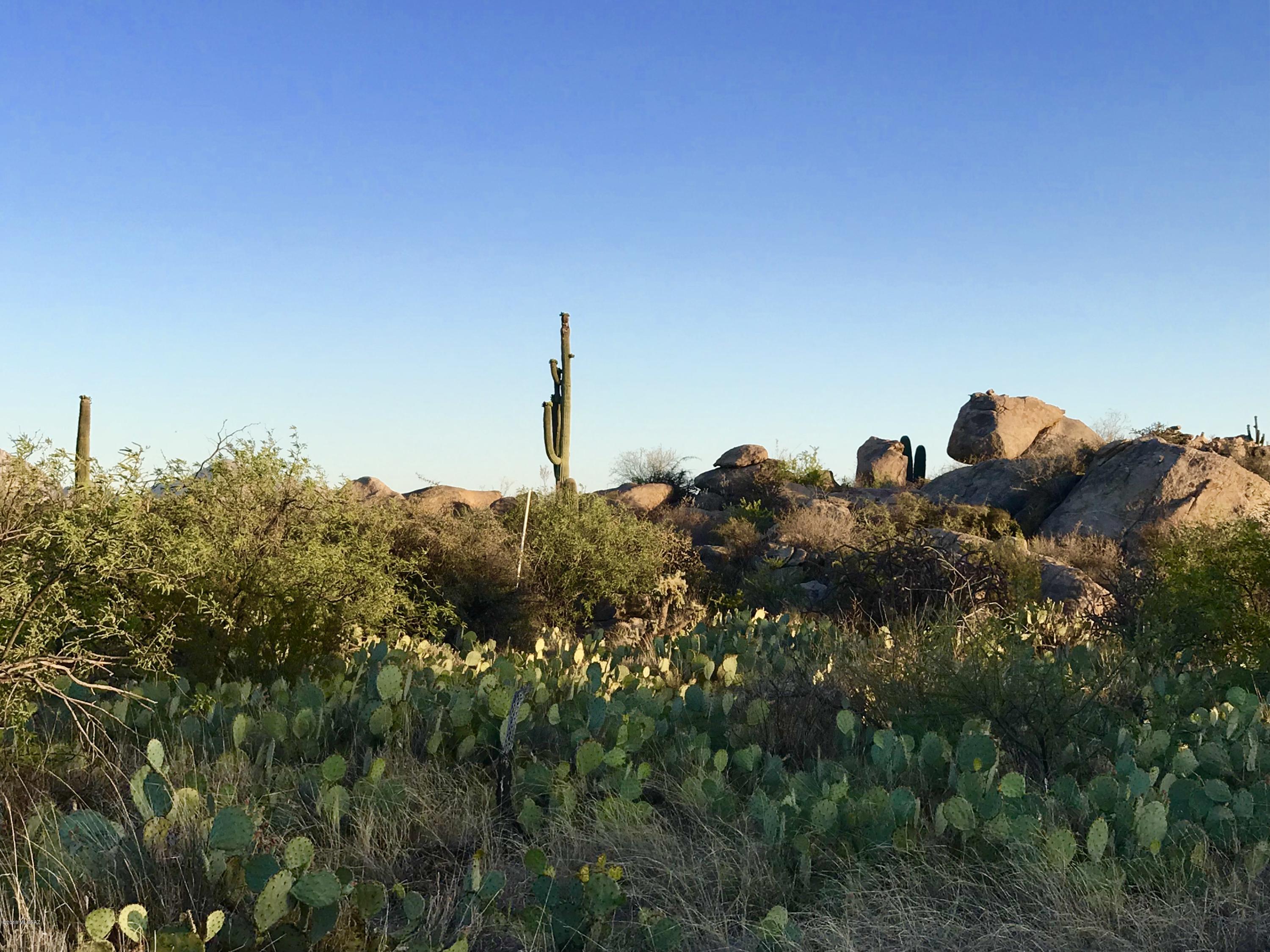 Stone Canyon IV - Land