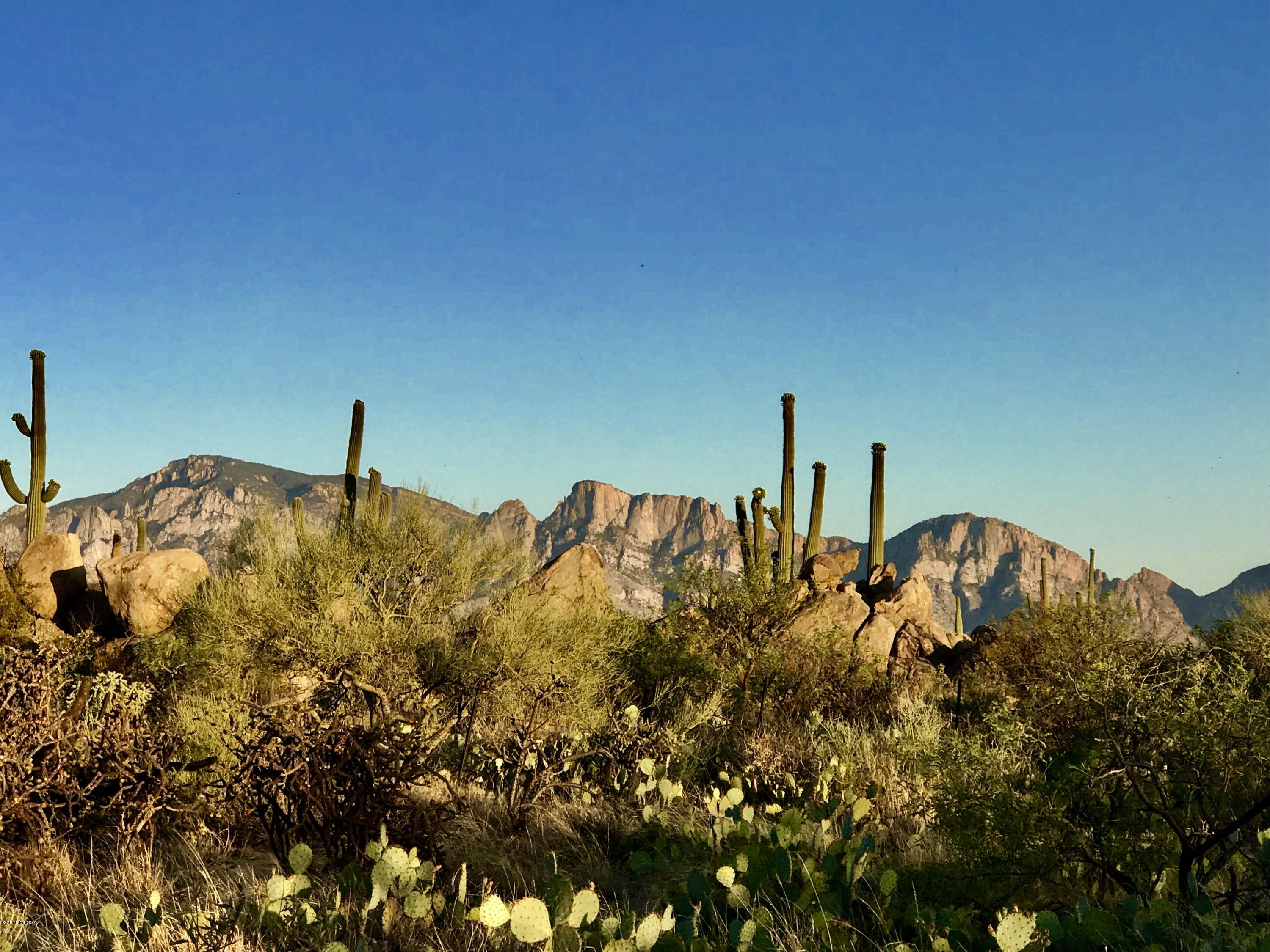 Stone Canyon IV - Land