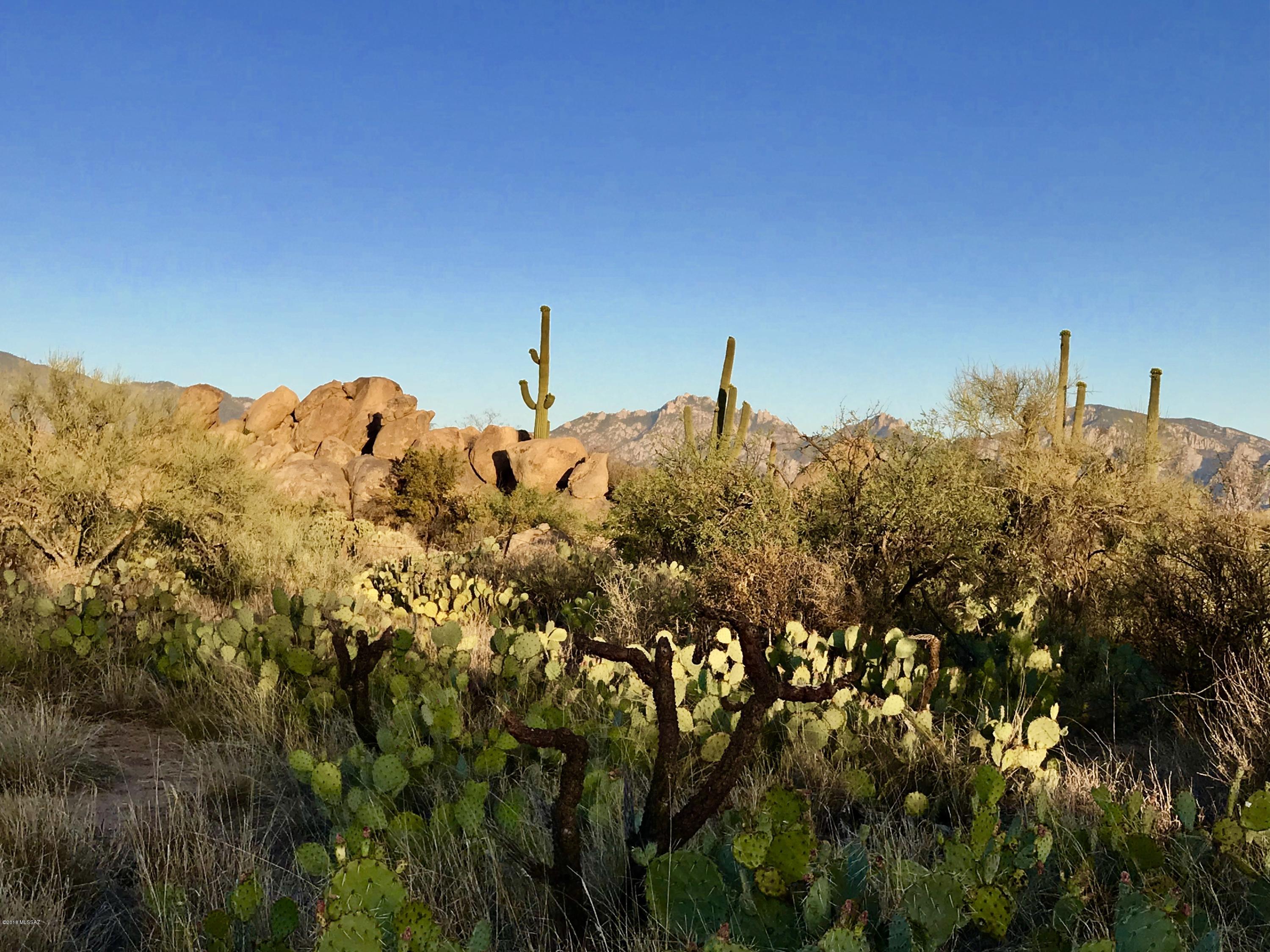 Stone Canyon IV - Land