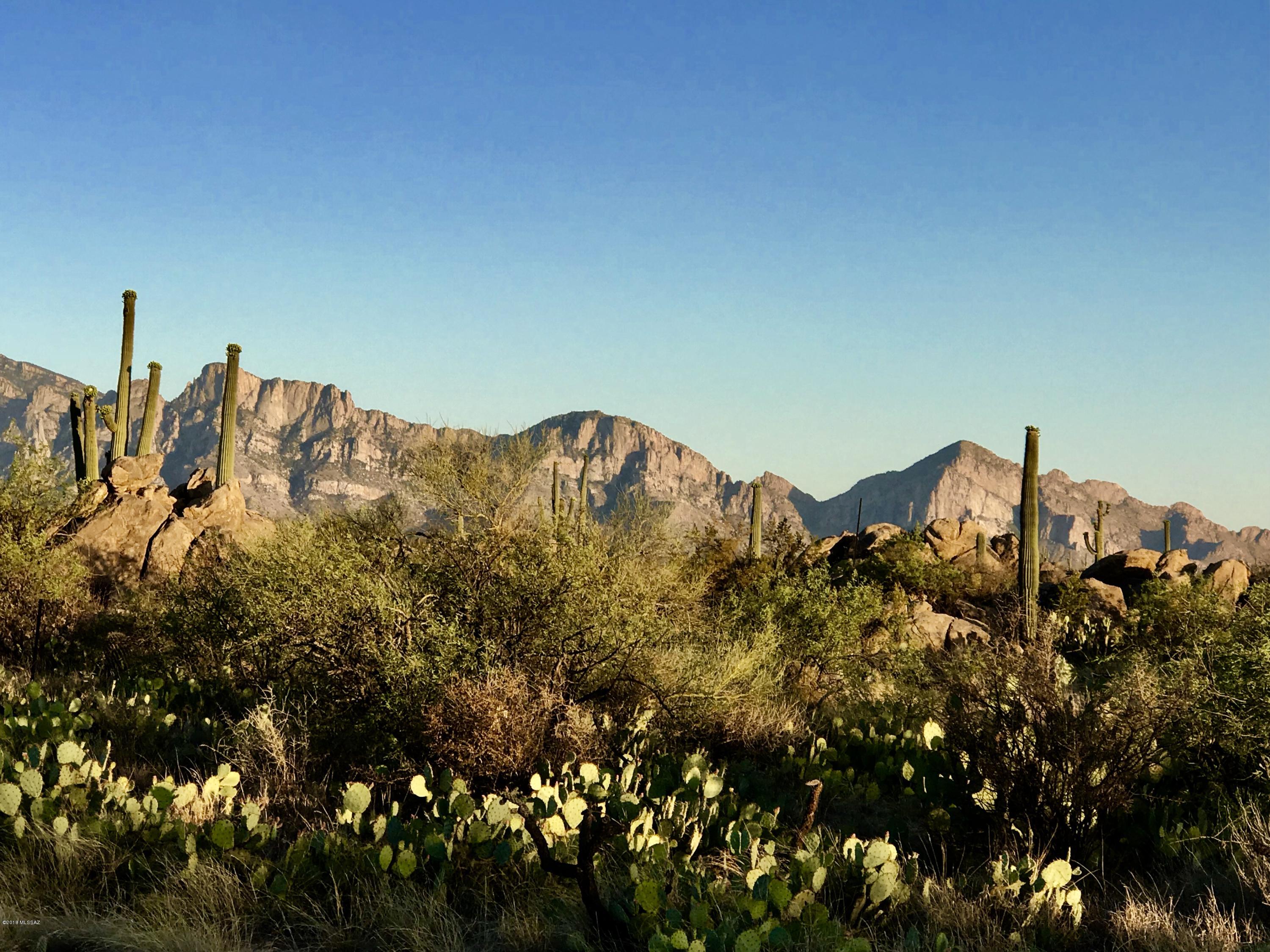 Stone Canyon IV - Land