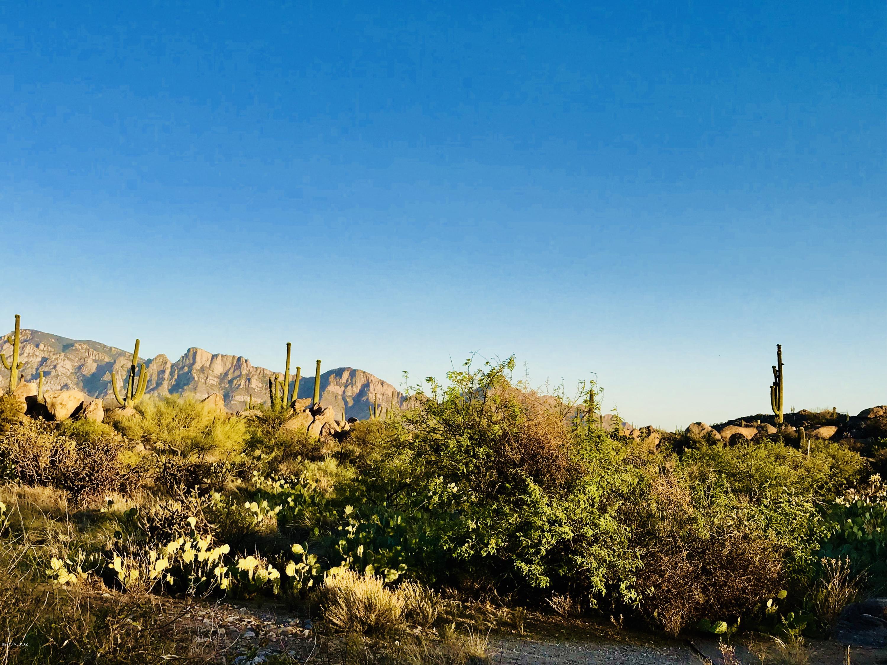 Stone Canyon IV - Land