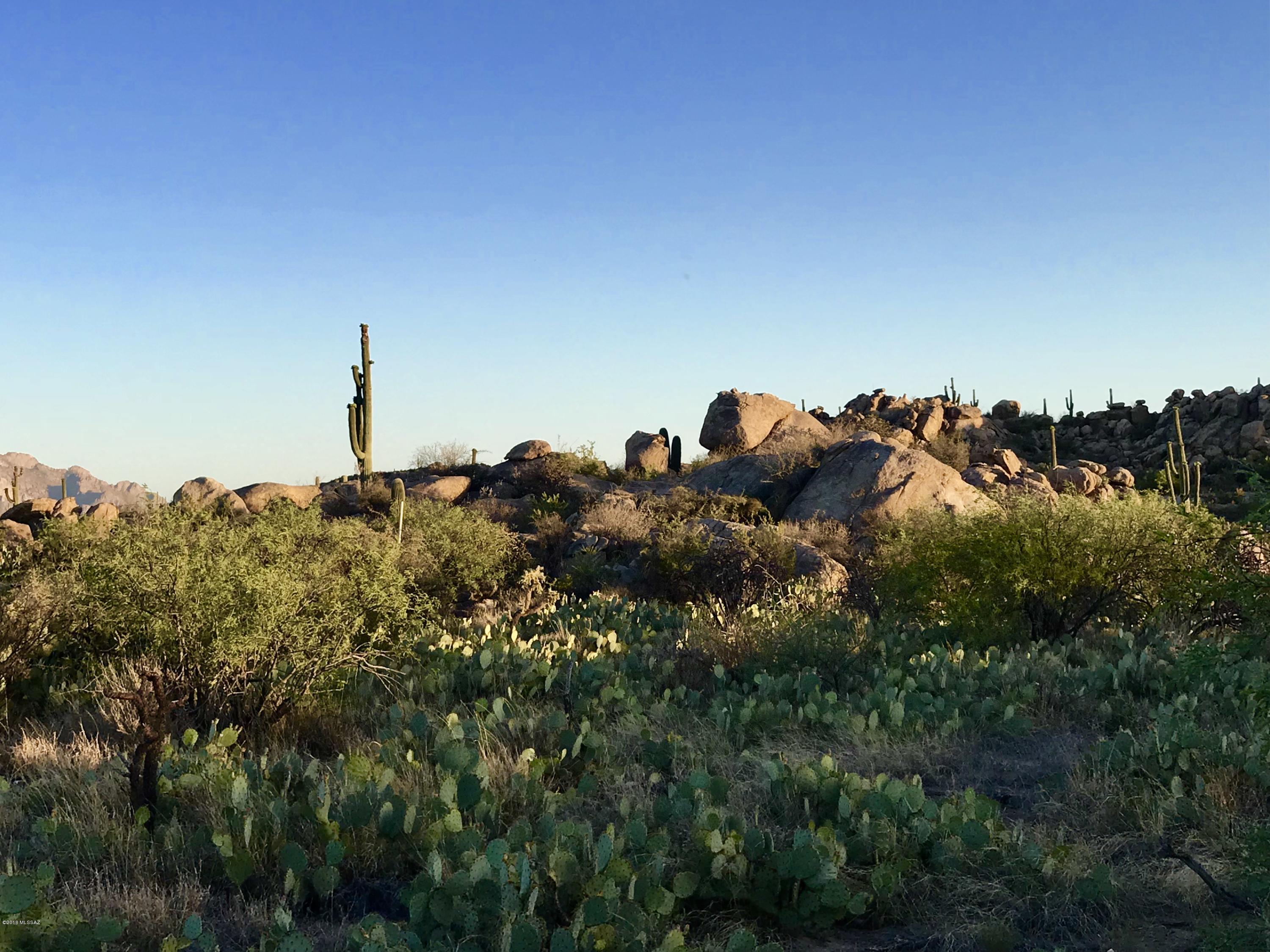 Stone Canyon IV - Land