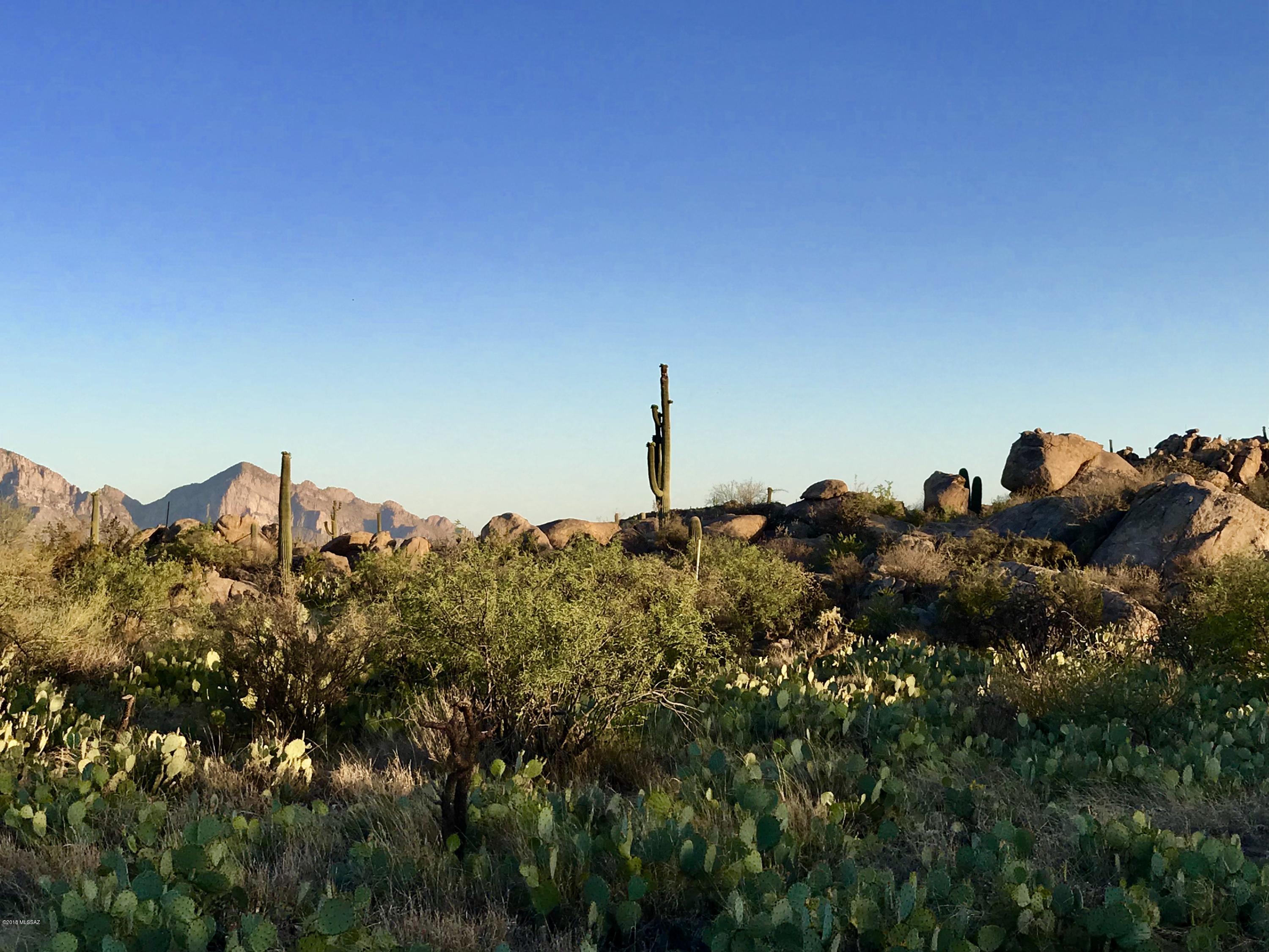 Stone Canyon IV - Land