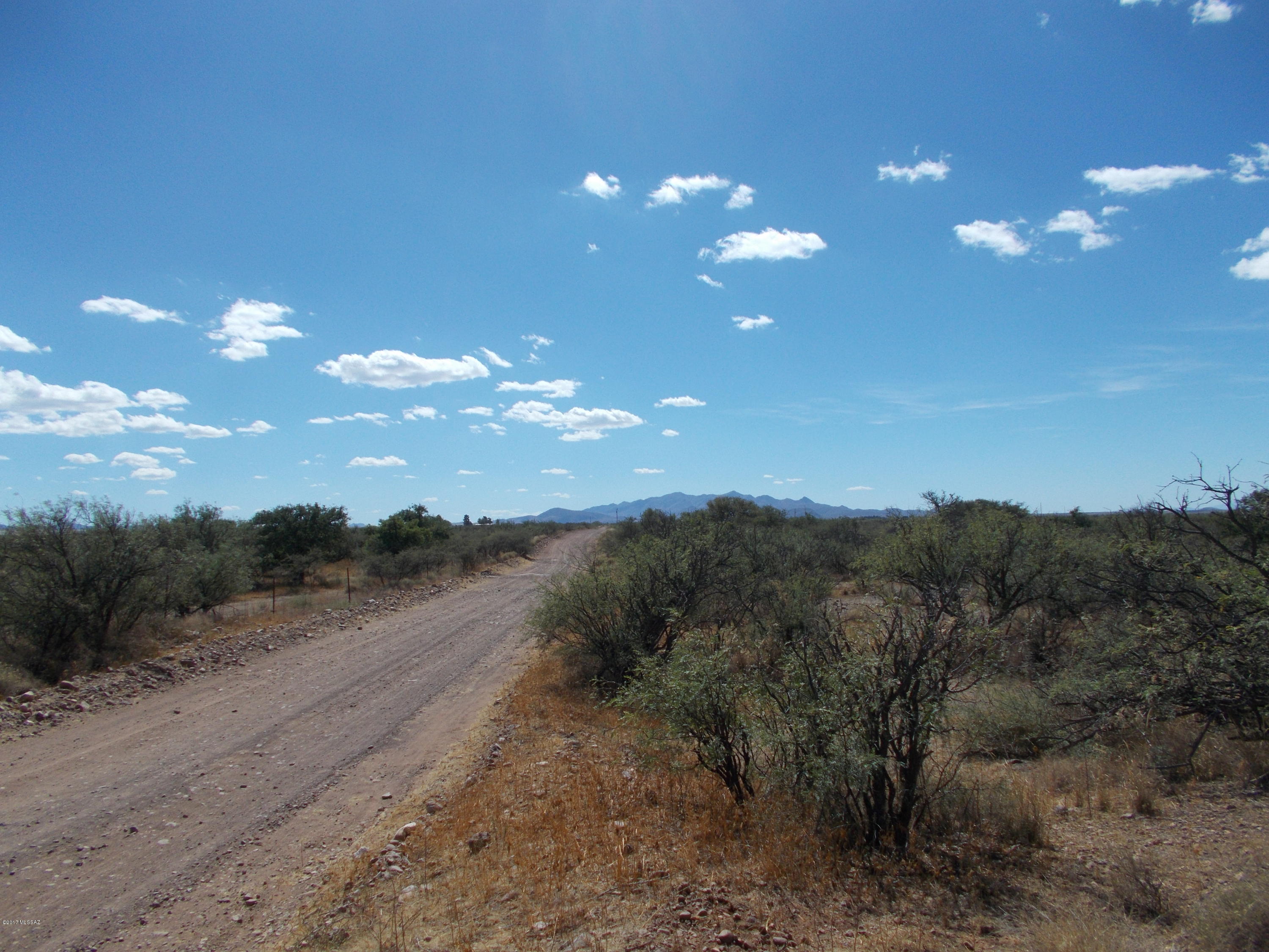 Turkey Creek Ranch - Land