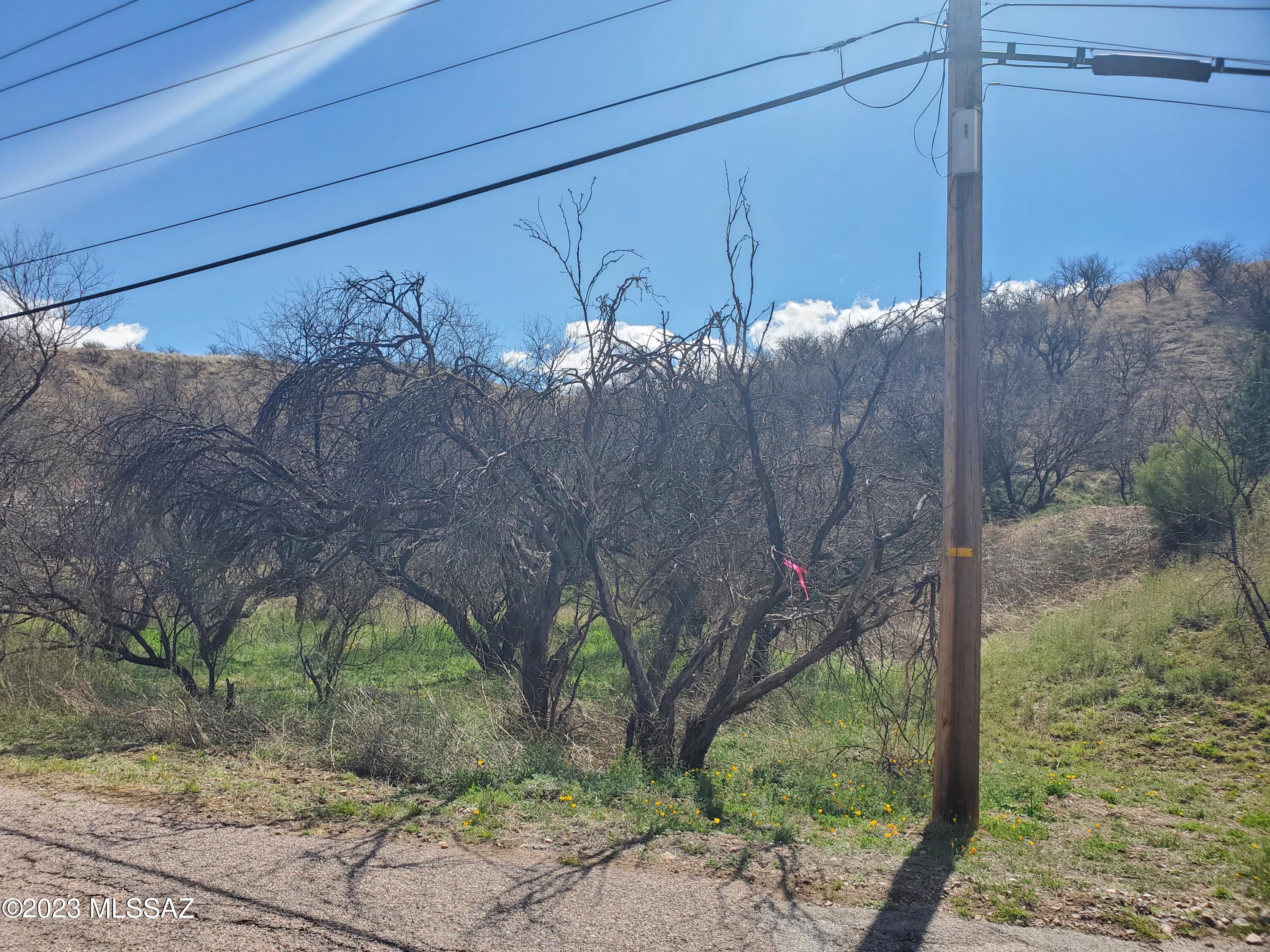 Rio Rico Estates 13 - Land