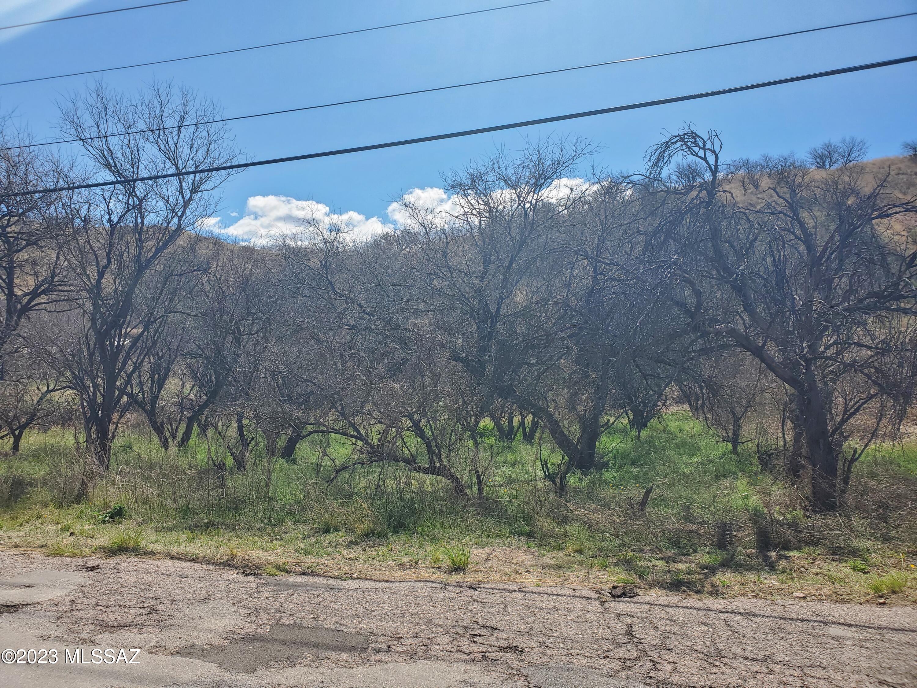 Rio Rico Estates 13 - Land