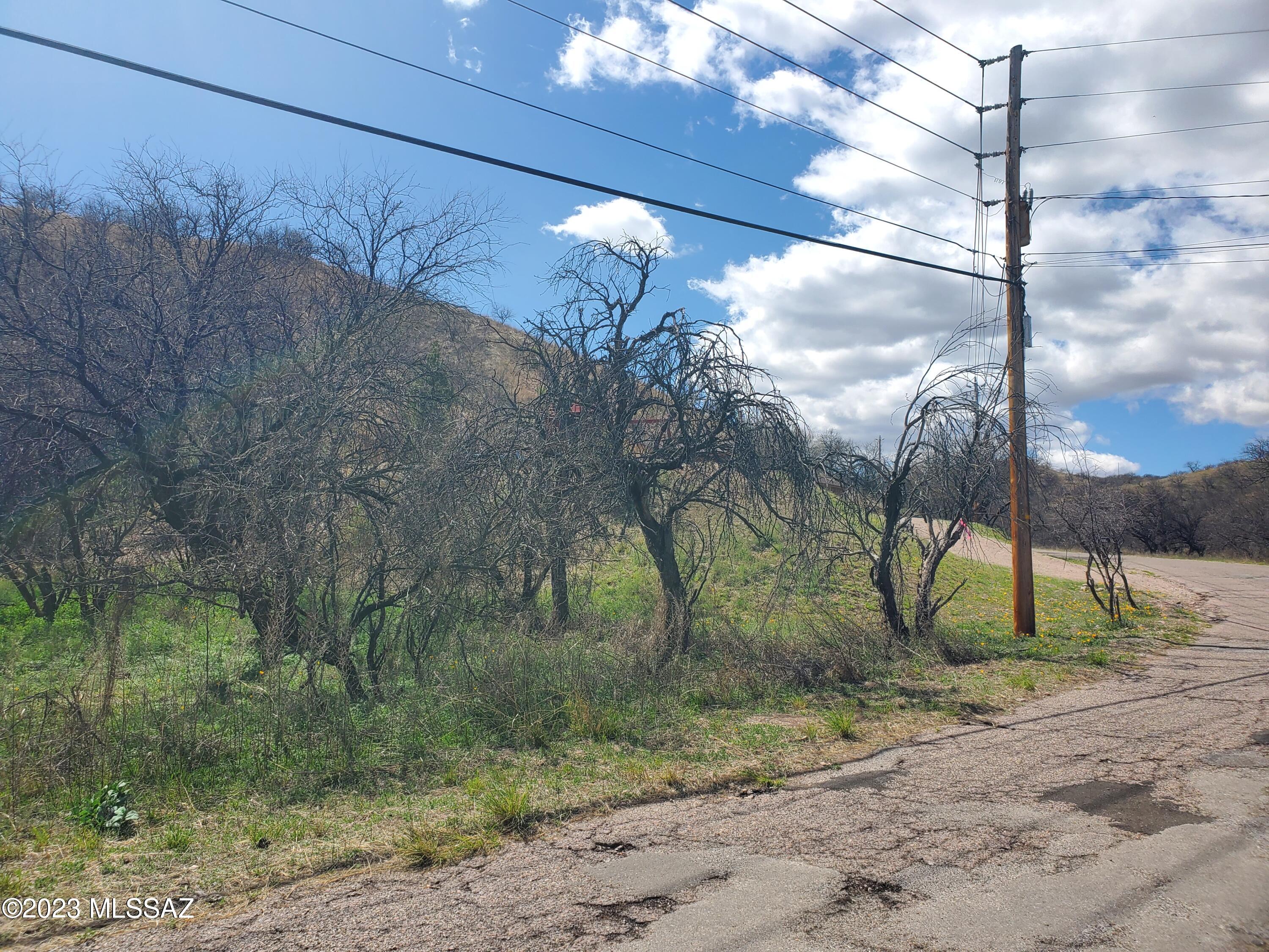 Rio Rico Estates 13 - Land