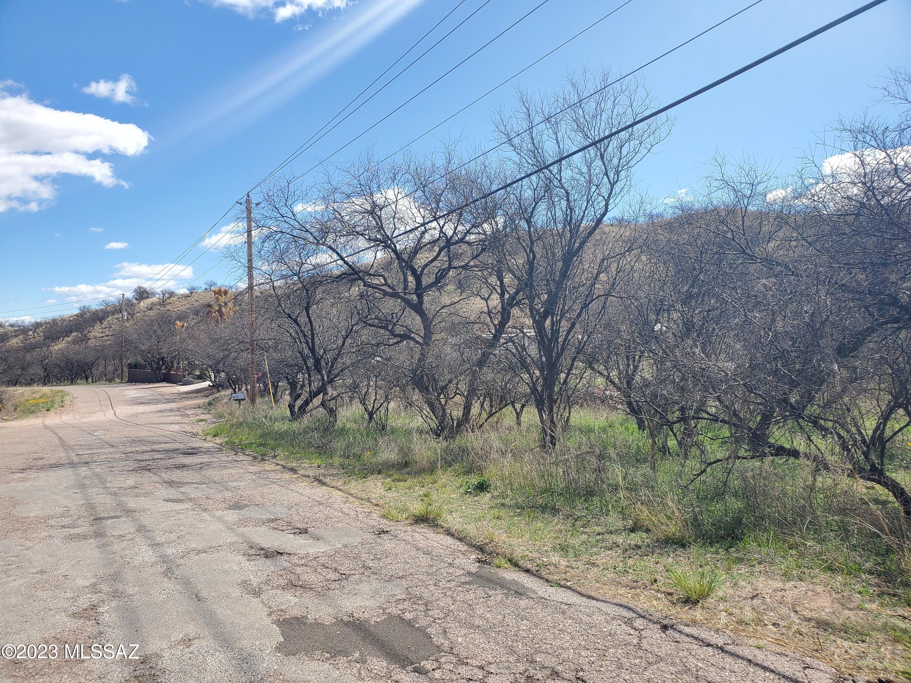 Rio Rico Estates 13 - Land