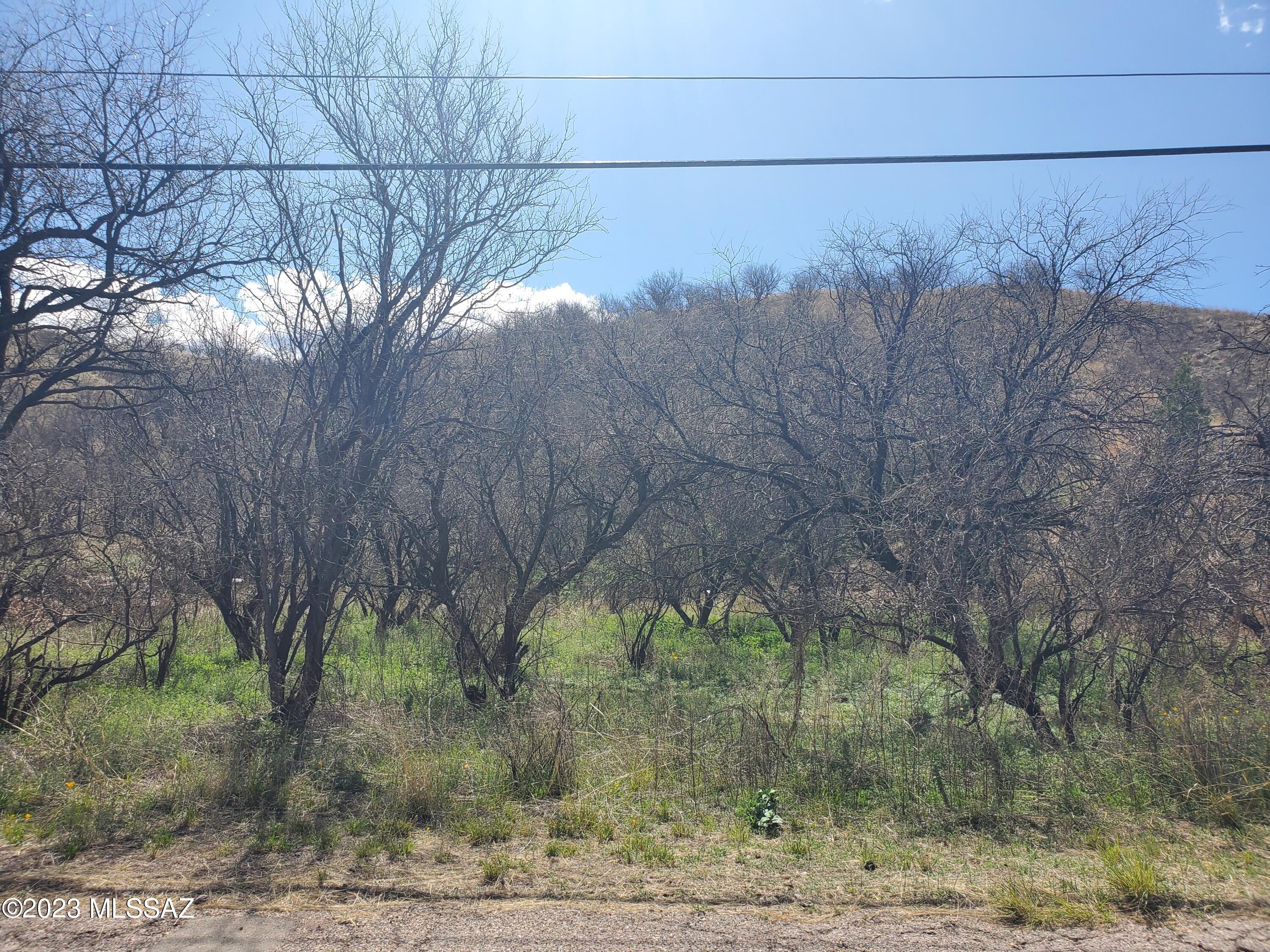 Rio Rico Estates 13 - Land