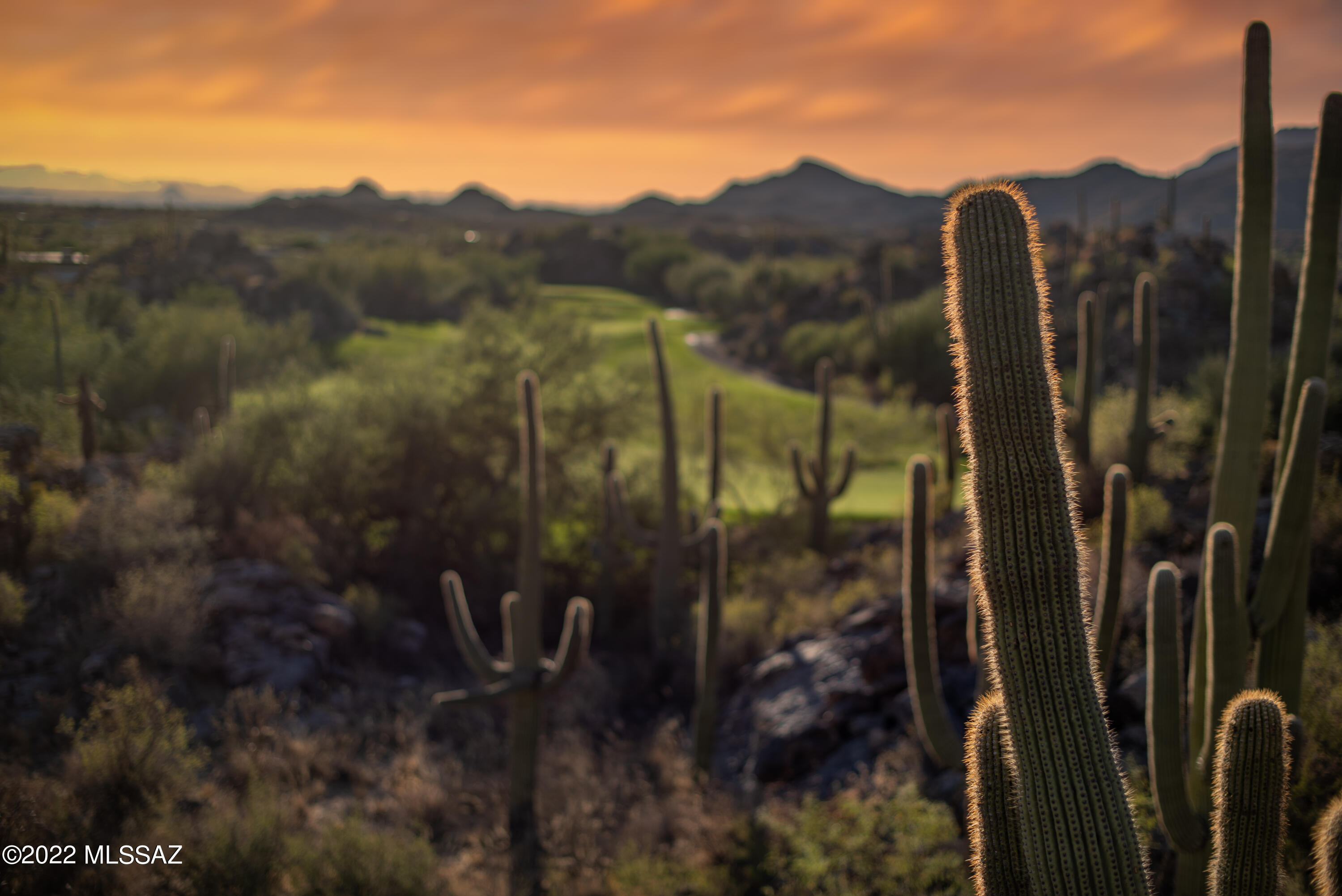 Stone Canyon VIII (486-602) - Land