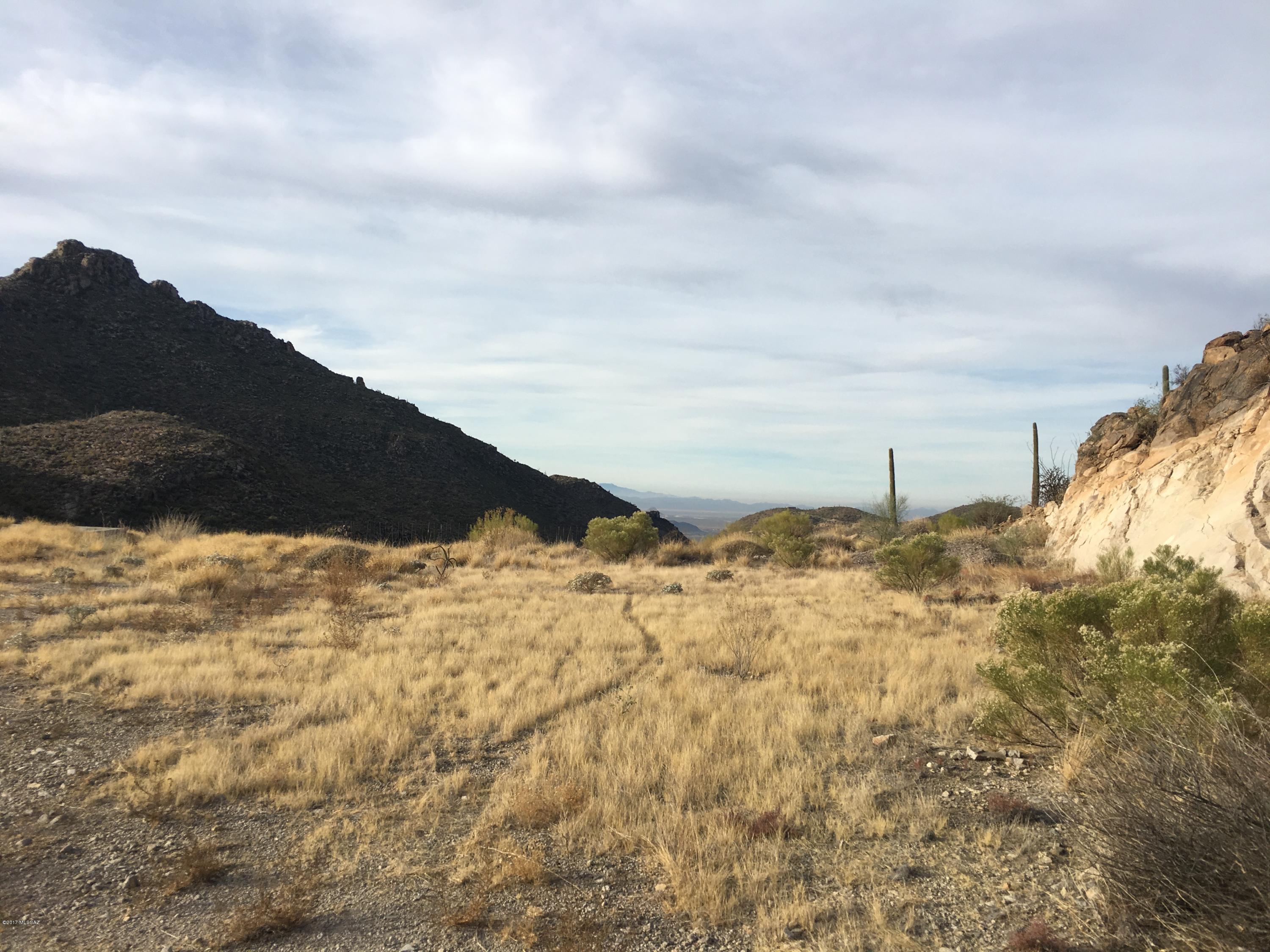 Canyon Pass III At Dove Mountain (111-181) - Land