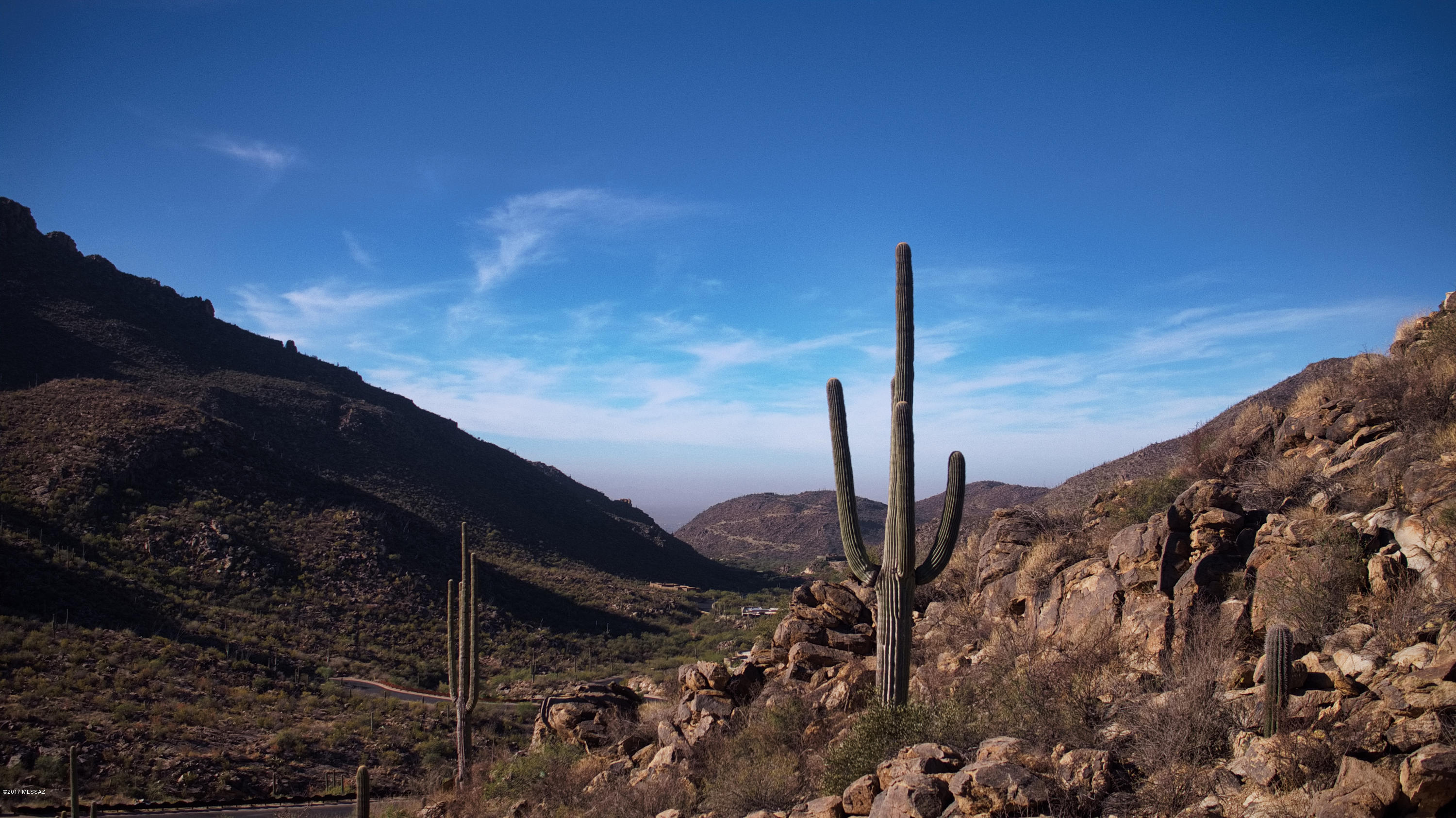 Canyon Pass III At Dove Mountain (111-181) - Land