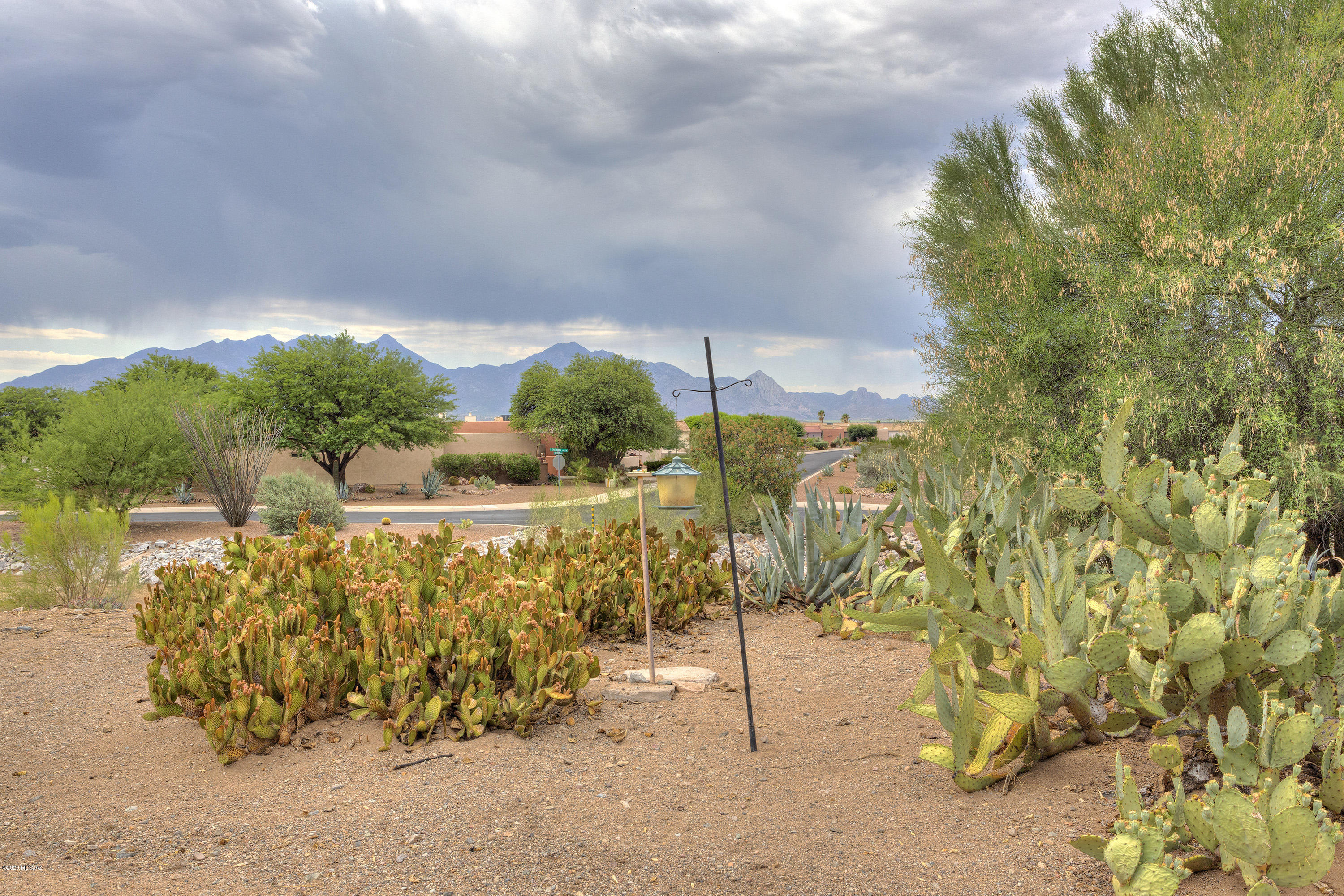 Green Valley Desert Meadows NO.3(1-223) - Residential