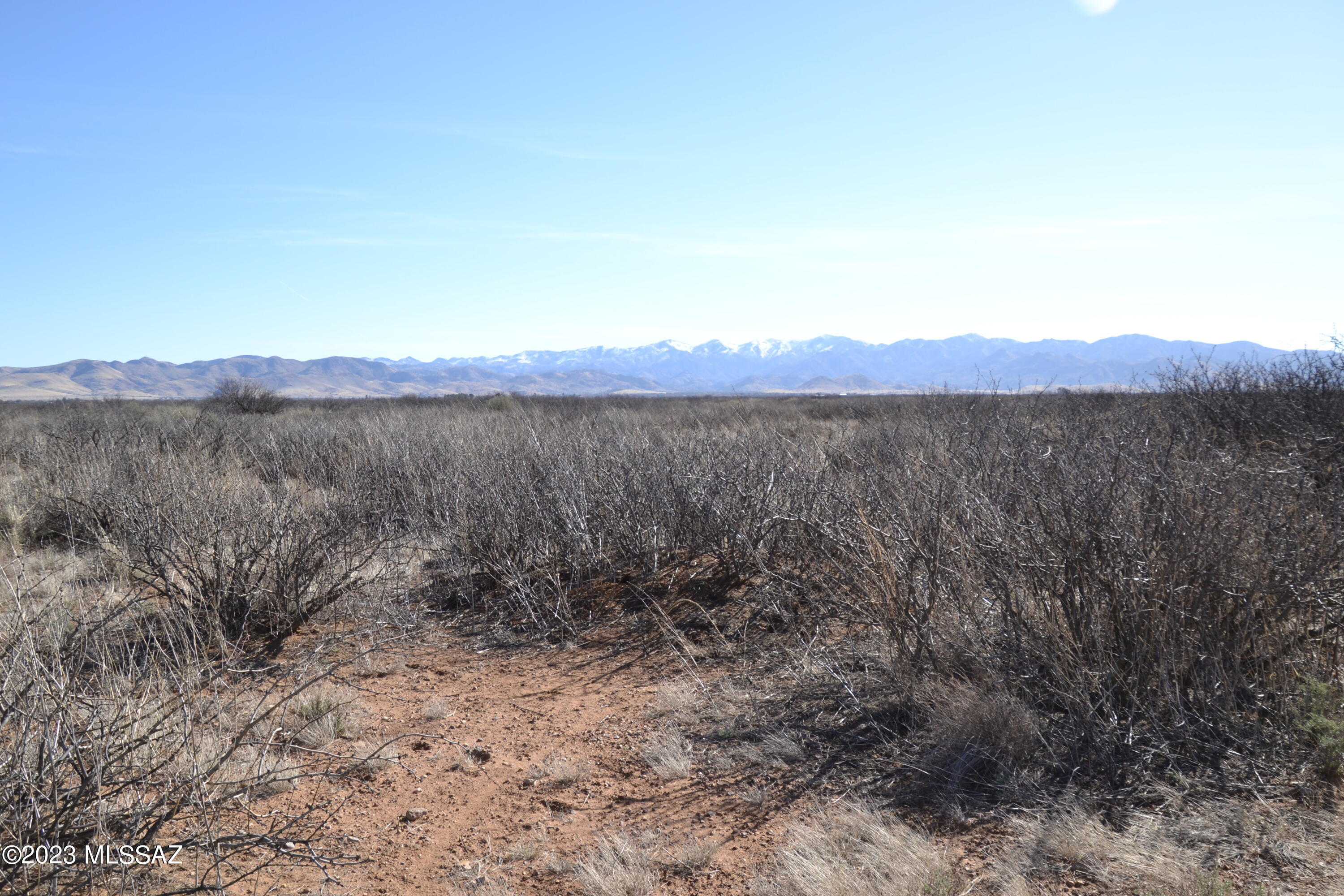 Out Of Pima County - Land