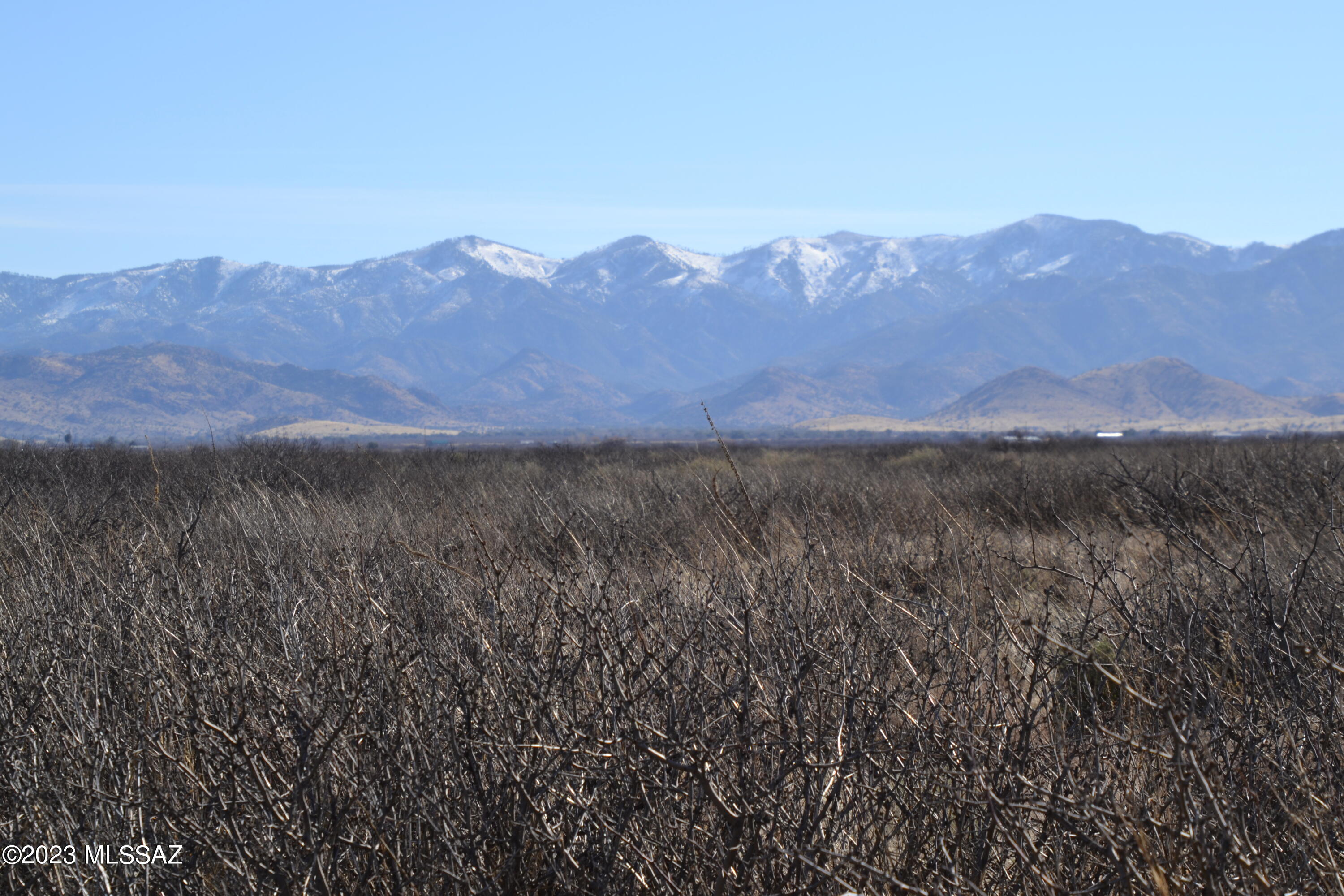 Out Of Pima County - Land