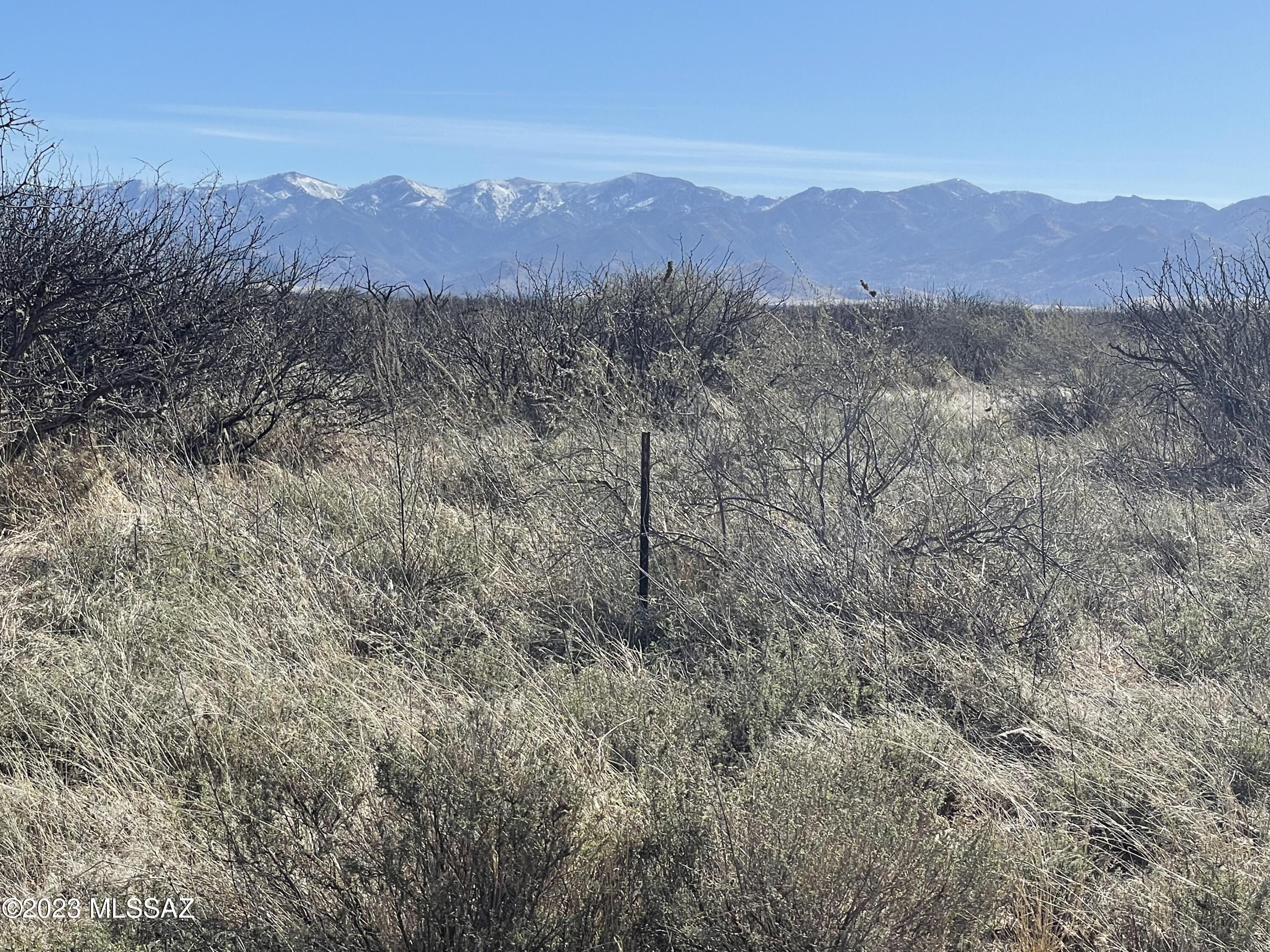 Out Of Pima County - Land