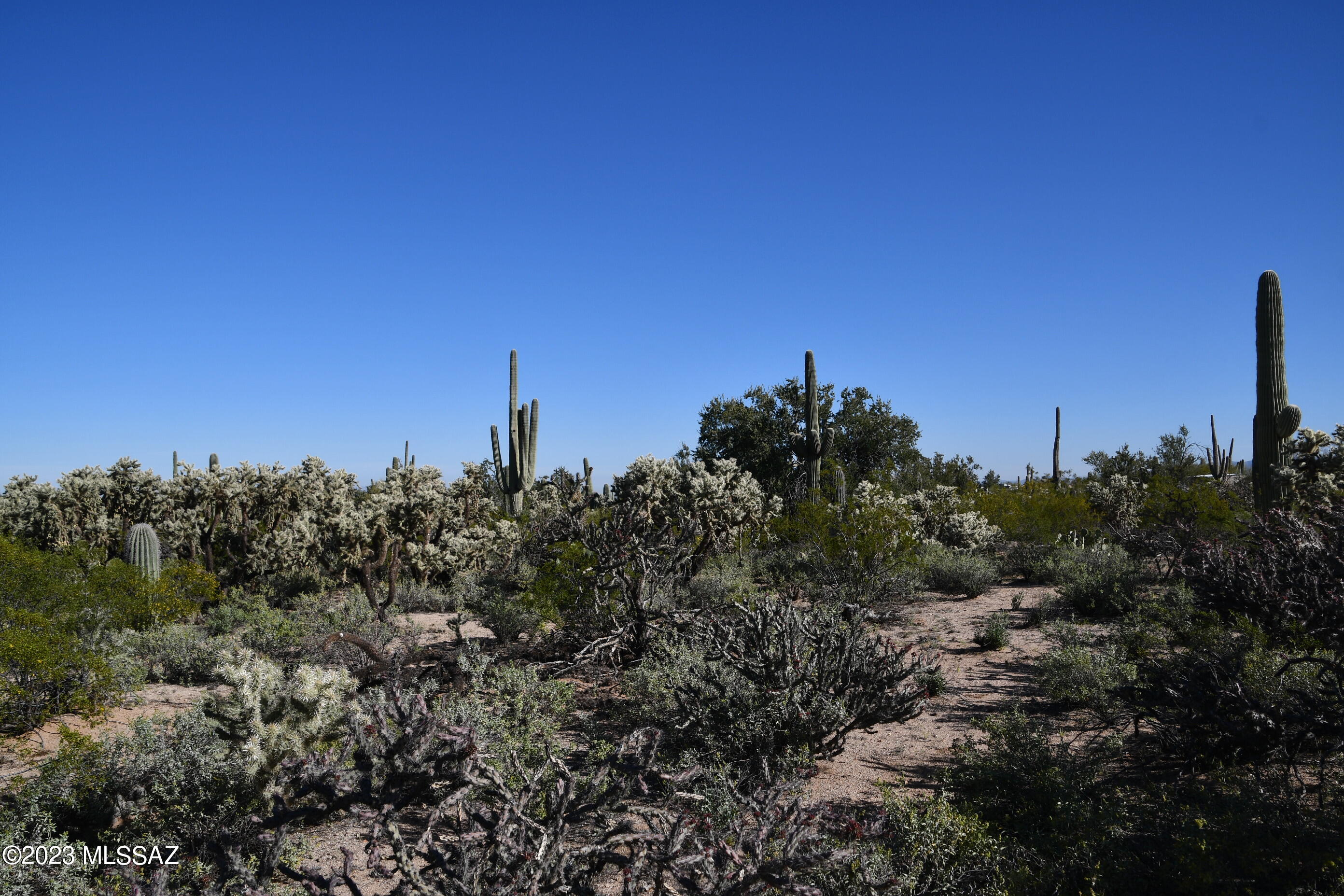 Scenic 5 acre homesite loaded with mature majestic saguaros and lush Sonoran Desert Vegetation. No HOA, live life your way. Private dirt roads have minimal traffic, spectacular views in all directions. Underground utilities, electric appears to be at SW corner and Avra Water in dirt road. Site built or manufactured homes allowed. Rural county setting, horses allowed. Owner will finance 3 years at 6% with 25% down.